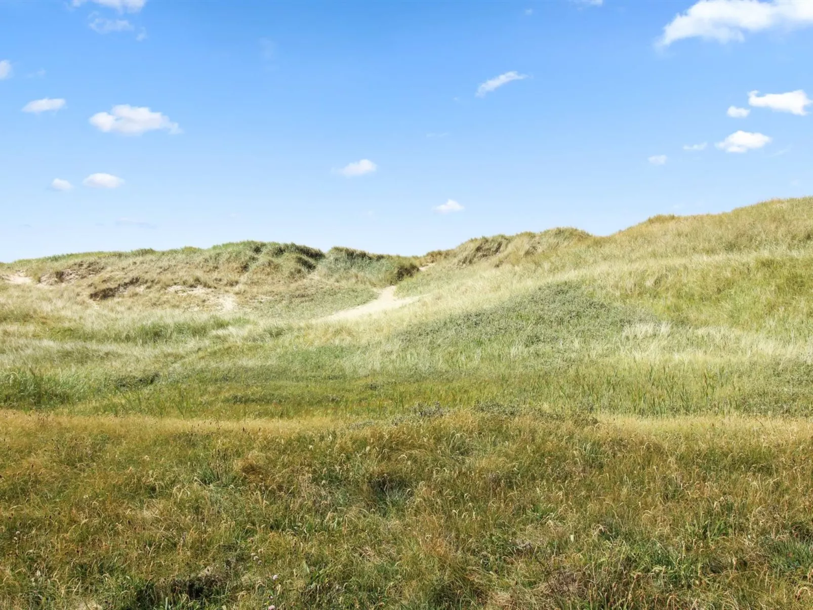"Frithbjorn" - 50m from the sea-Buiten