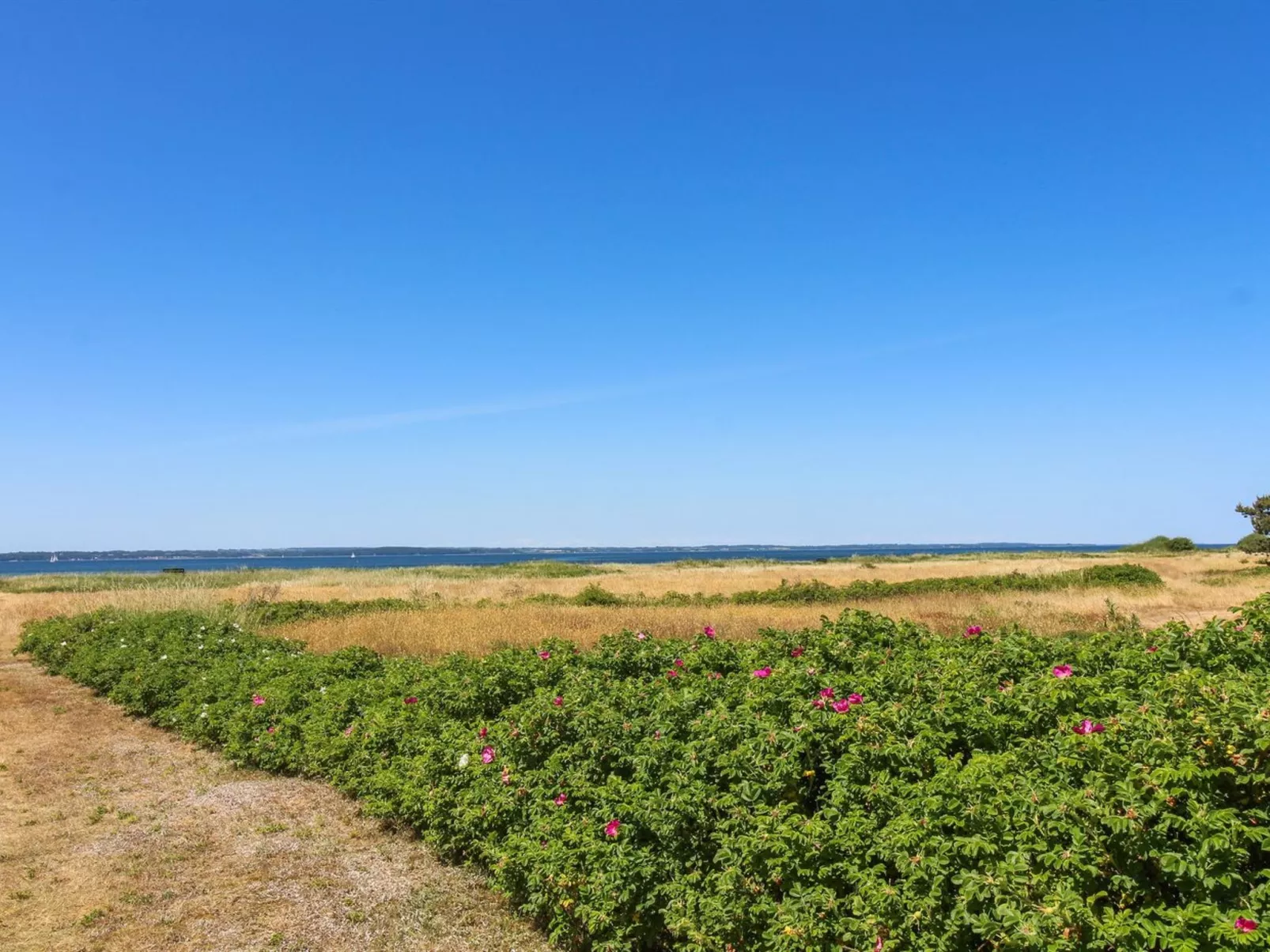 "Elisej" - 100m from the sea-Buiten
