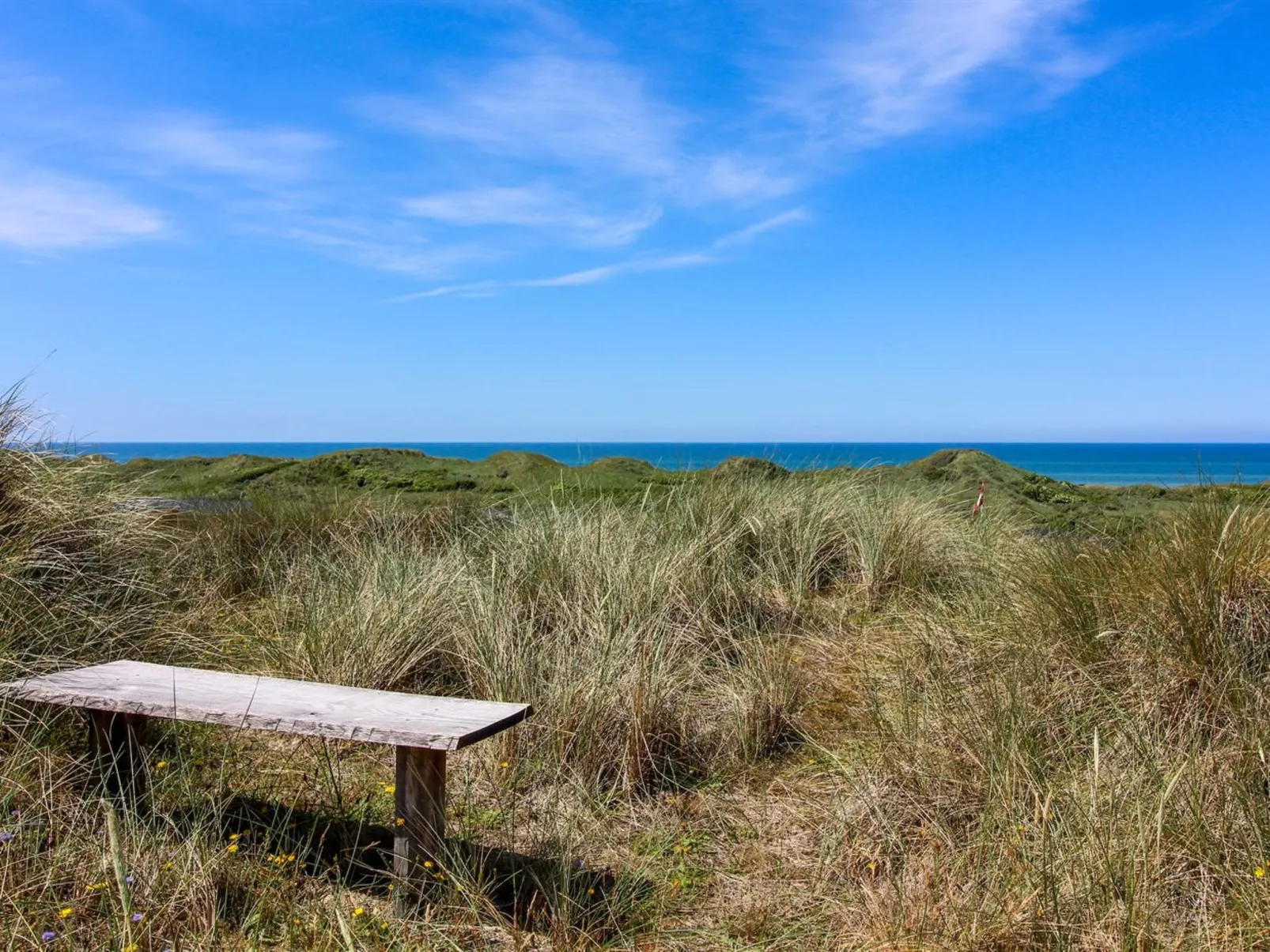 "Eelin" - 275m from the sea-Buiten