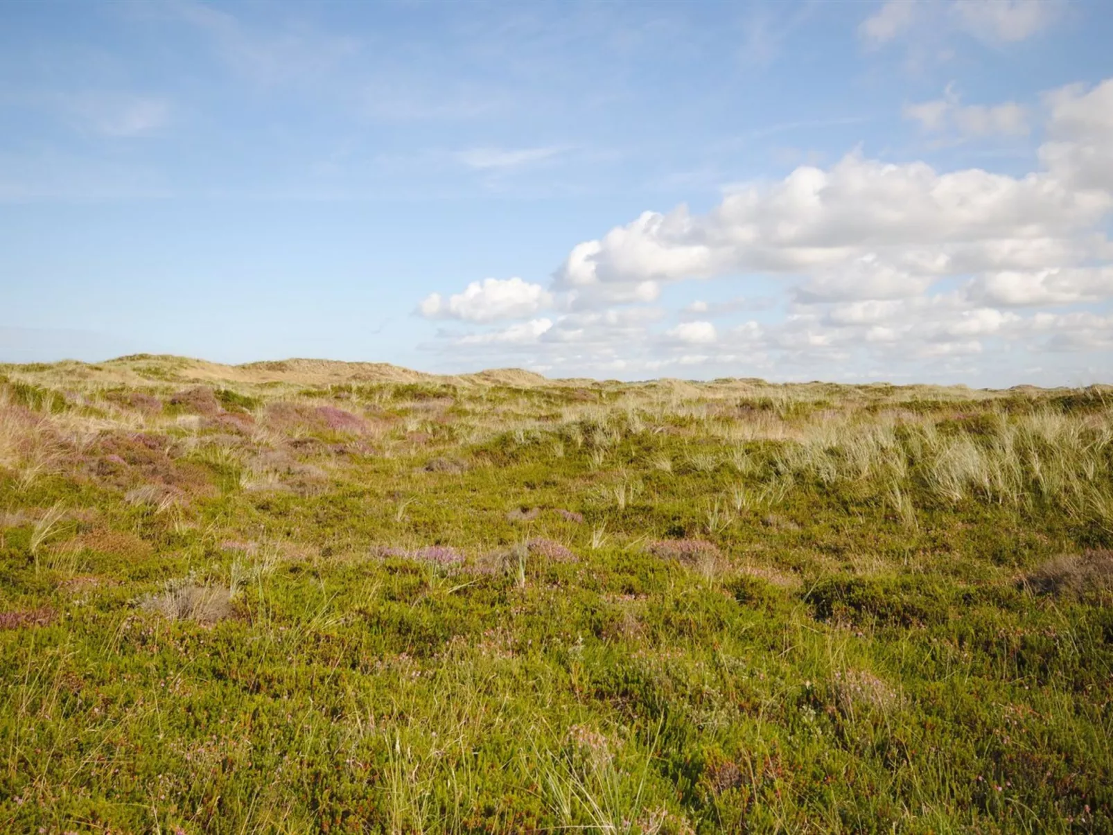 "Wulfhard" - 400m from the sea-Buiten