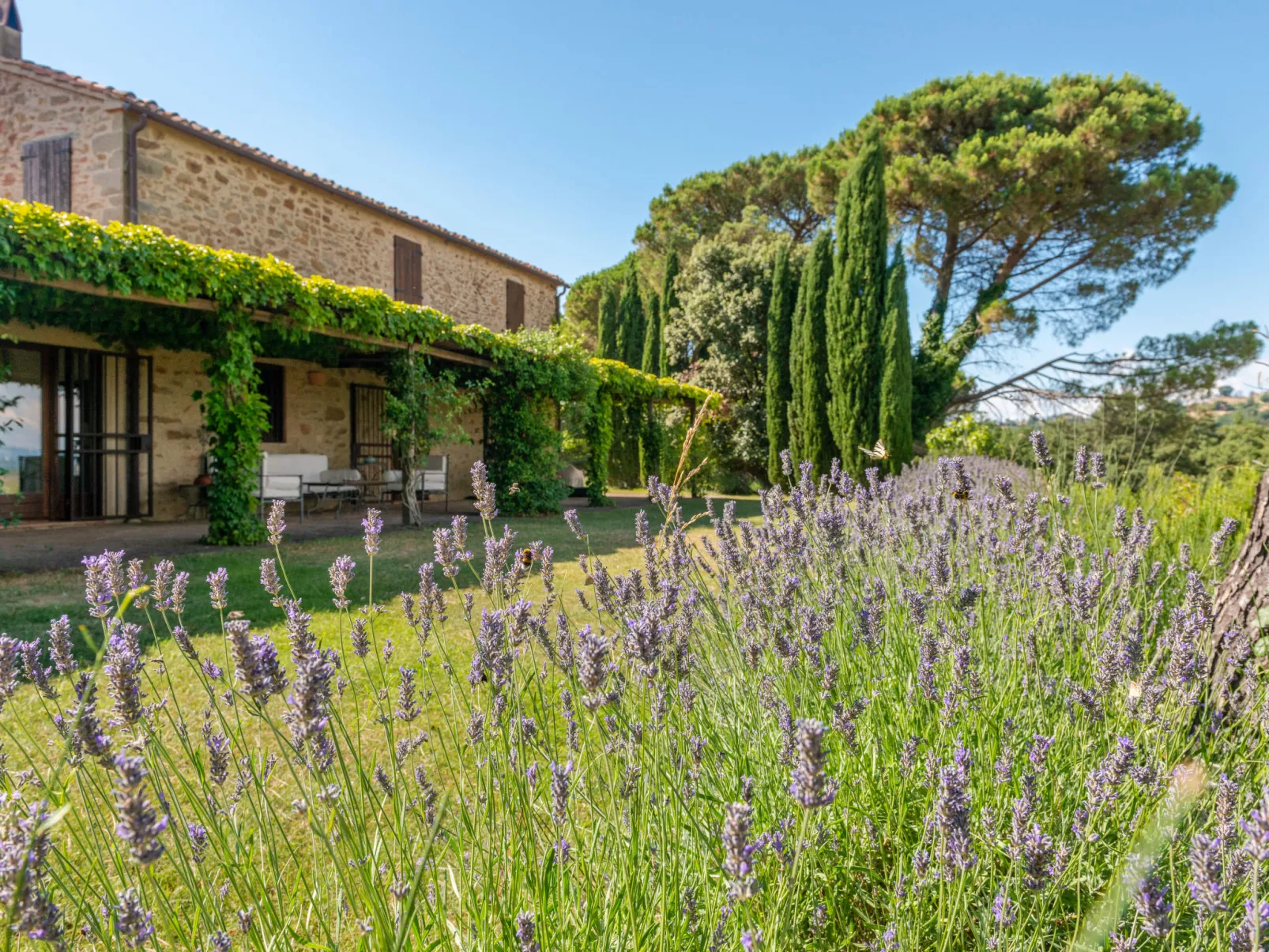 Lavanda-Buiten