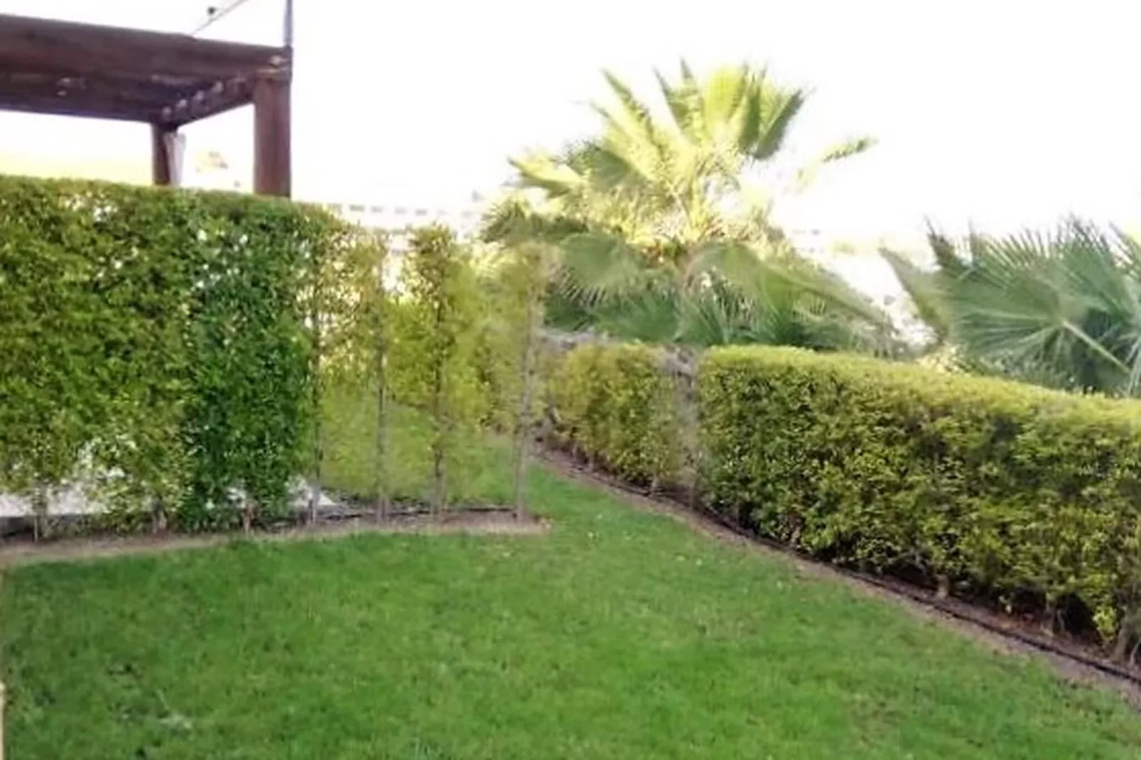 Valle del Este las Yucas-Tuinen zomer