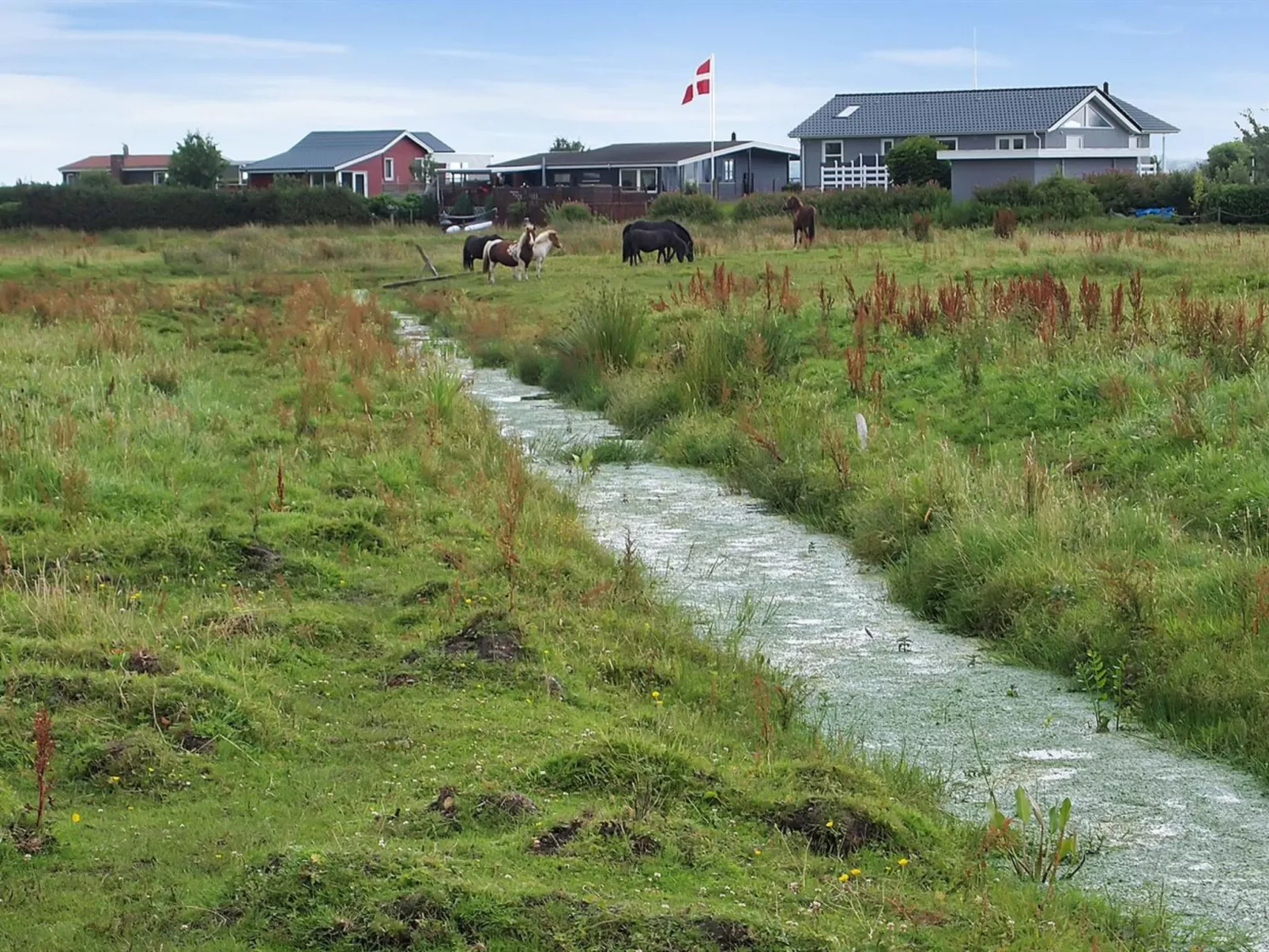 "Gülbahar" - 300m from the sea in SE Jutland-Buiten