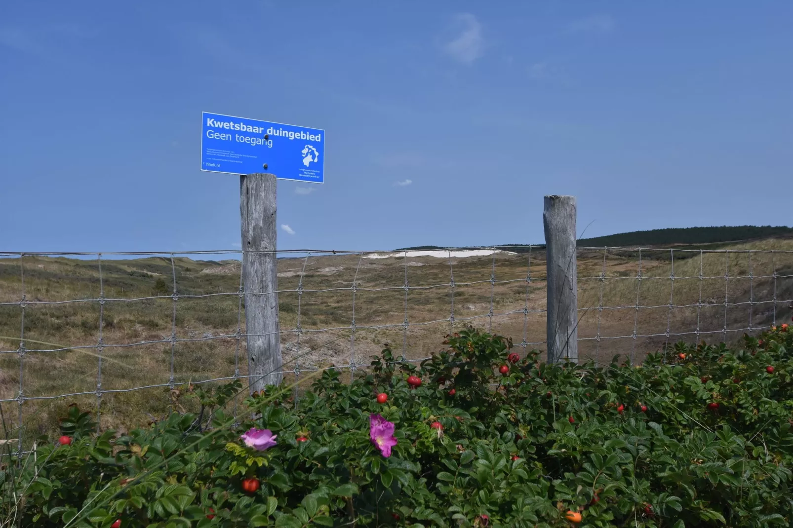 Huize Glory Parel-Gebieden zomer 1km