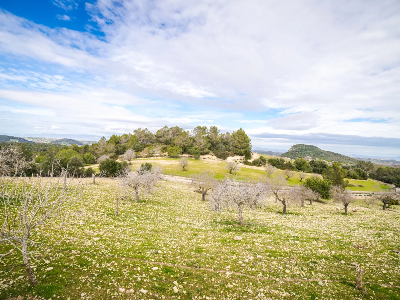 Sant Joan-Buiten