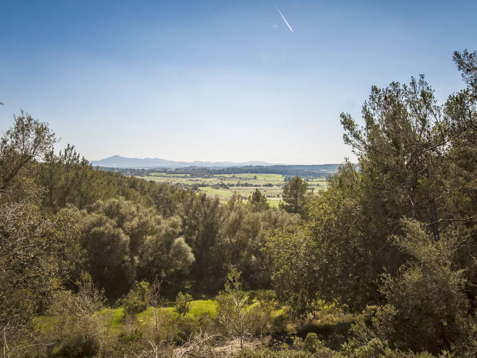 Sant Joan-Buiten