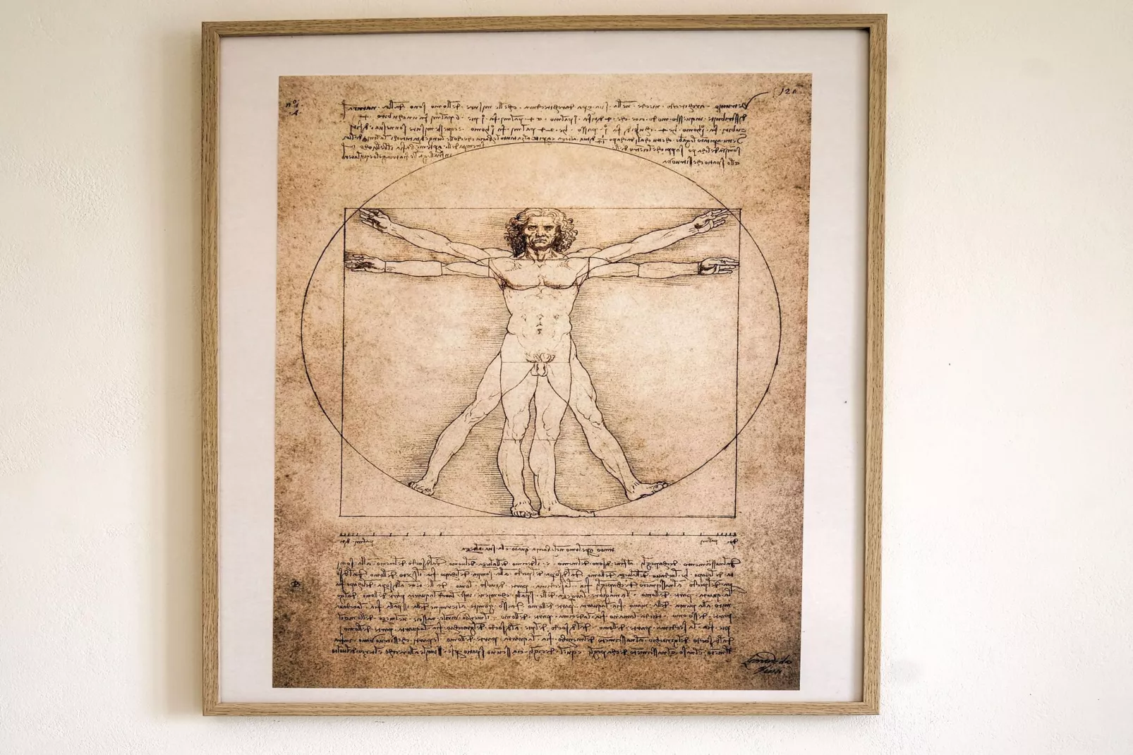 Villa Leonardo Da Vinci-Sfeer