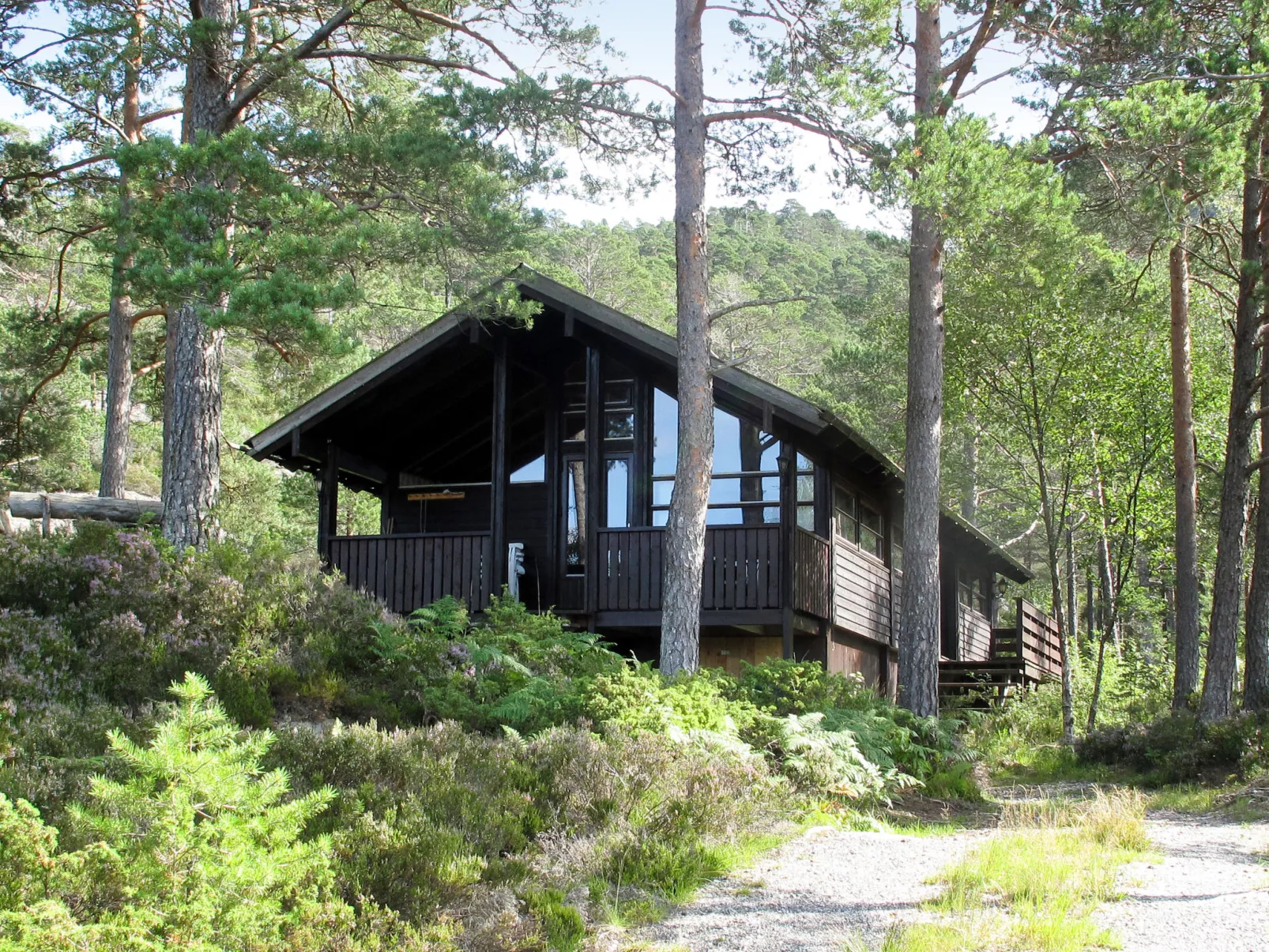 Sandvikfjellet-Buiten