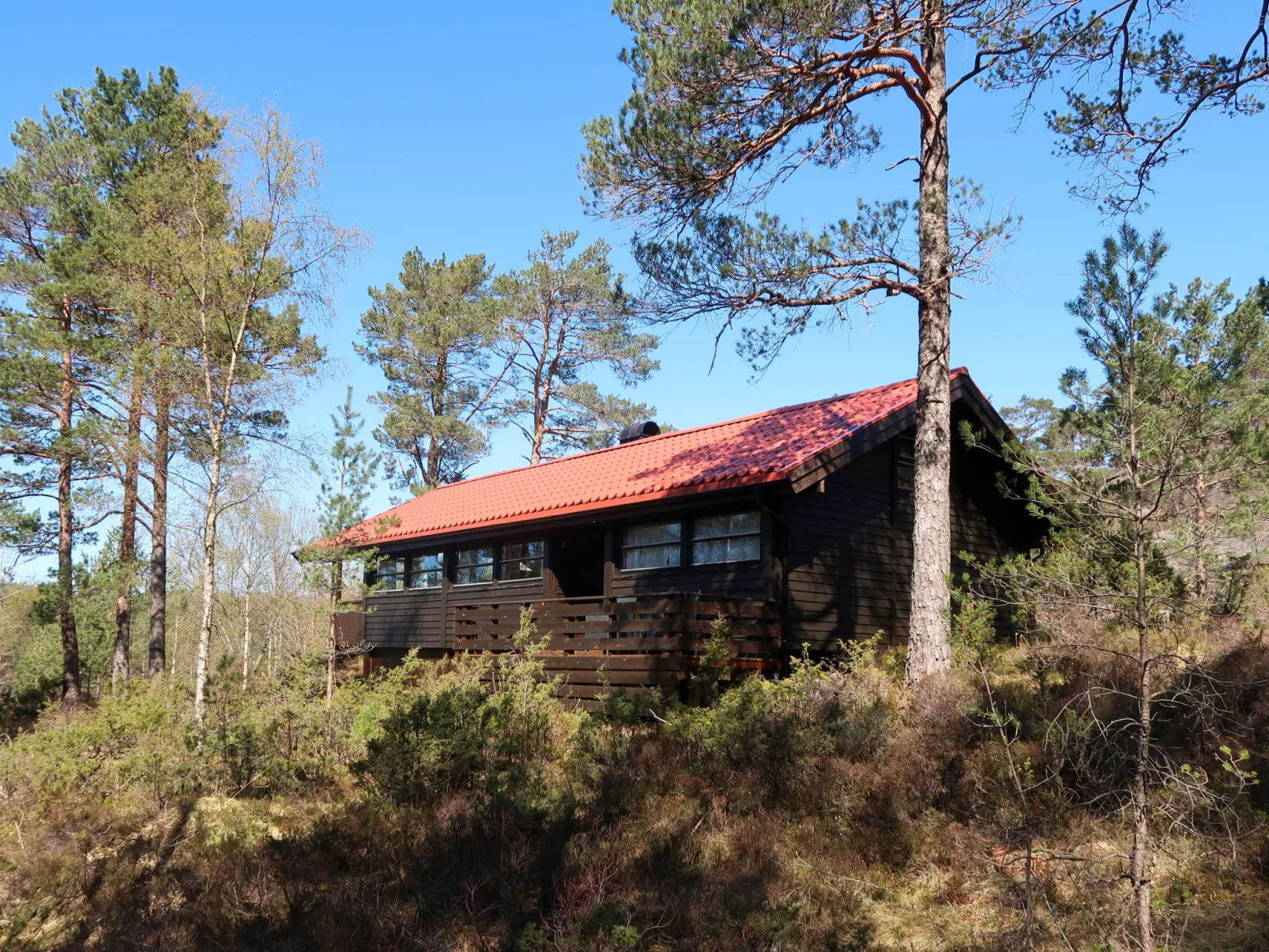 Sandvikfjellet-Buiten