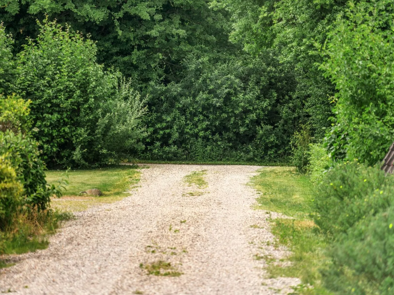 "Kathie" - 300m from the sea in Funen-Buiten