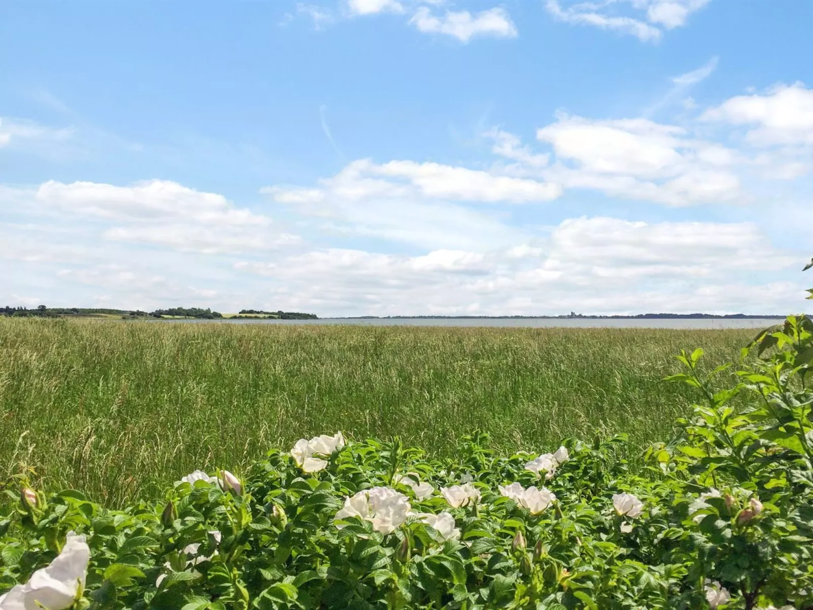 "Vojo" - 100m from the sea-Buiten