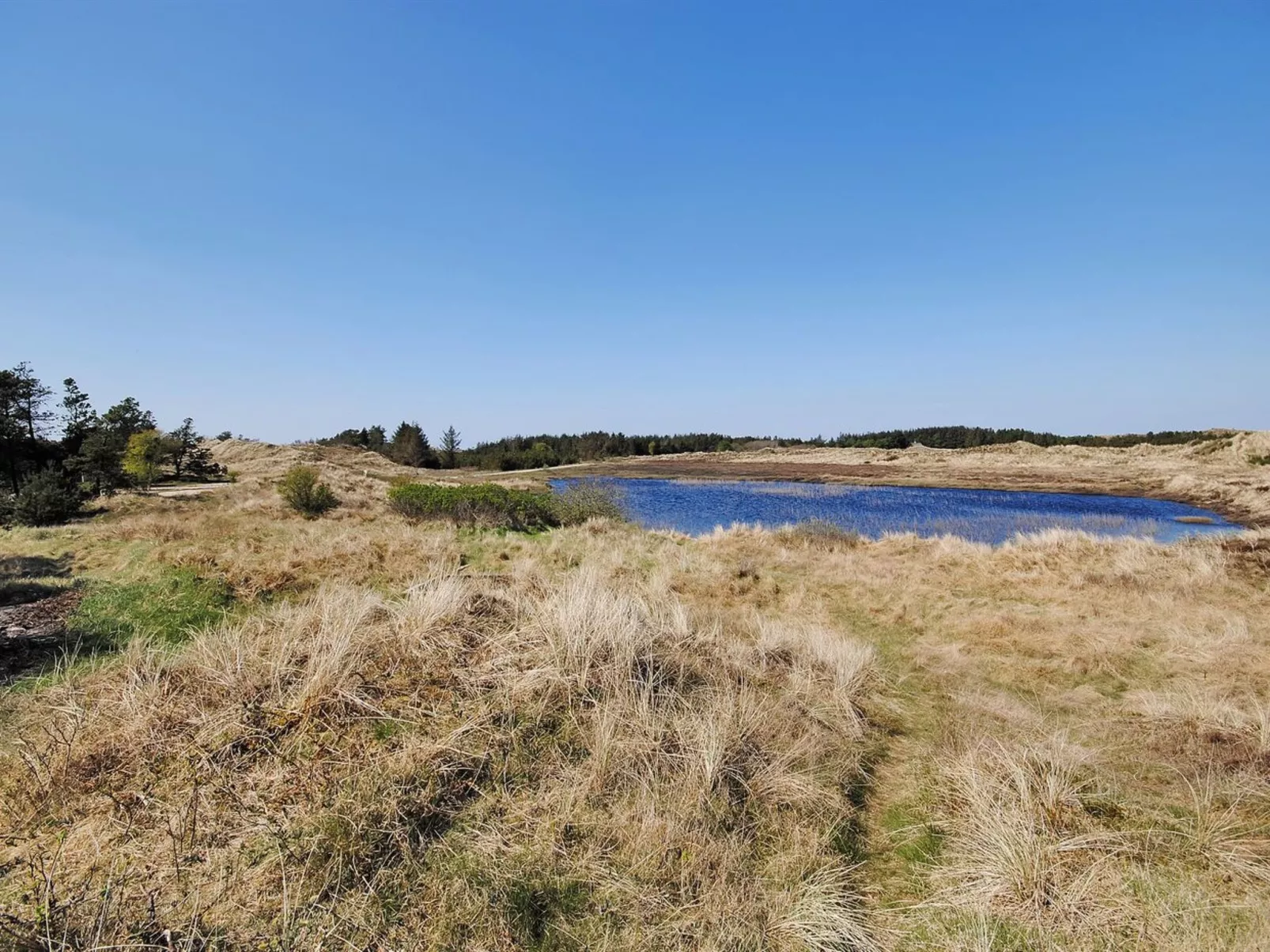 "Elisa" - 1.2km from the sea-Buiten