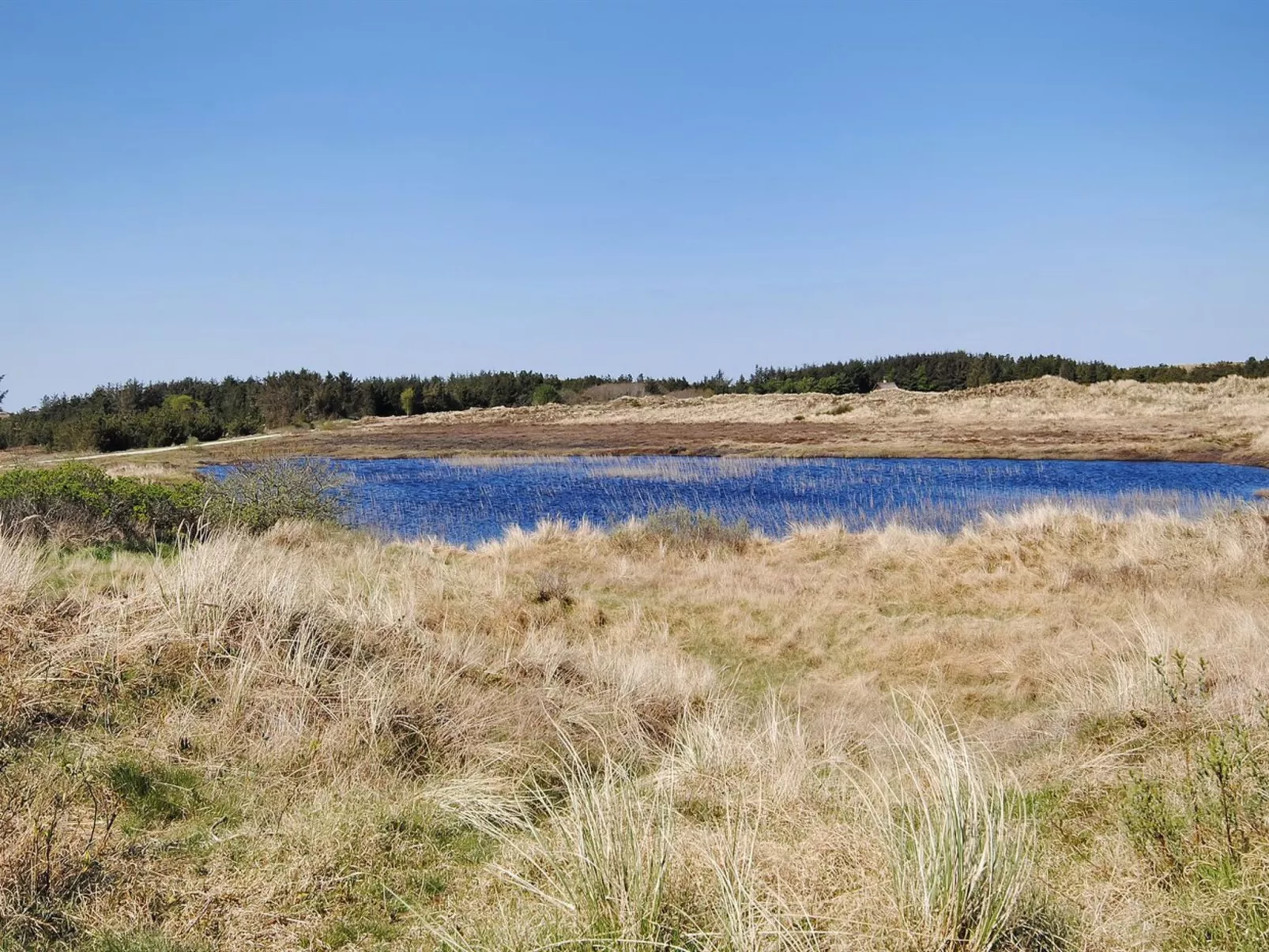 "Elisa" - 1.2km from the sea-Buiten