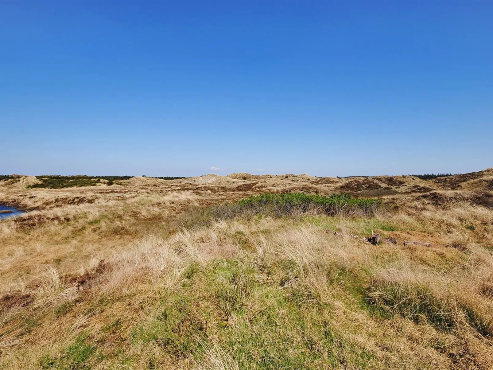 "Elisa" - 1.2km from the sea-Buiten