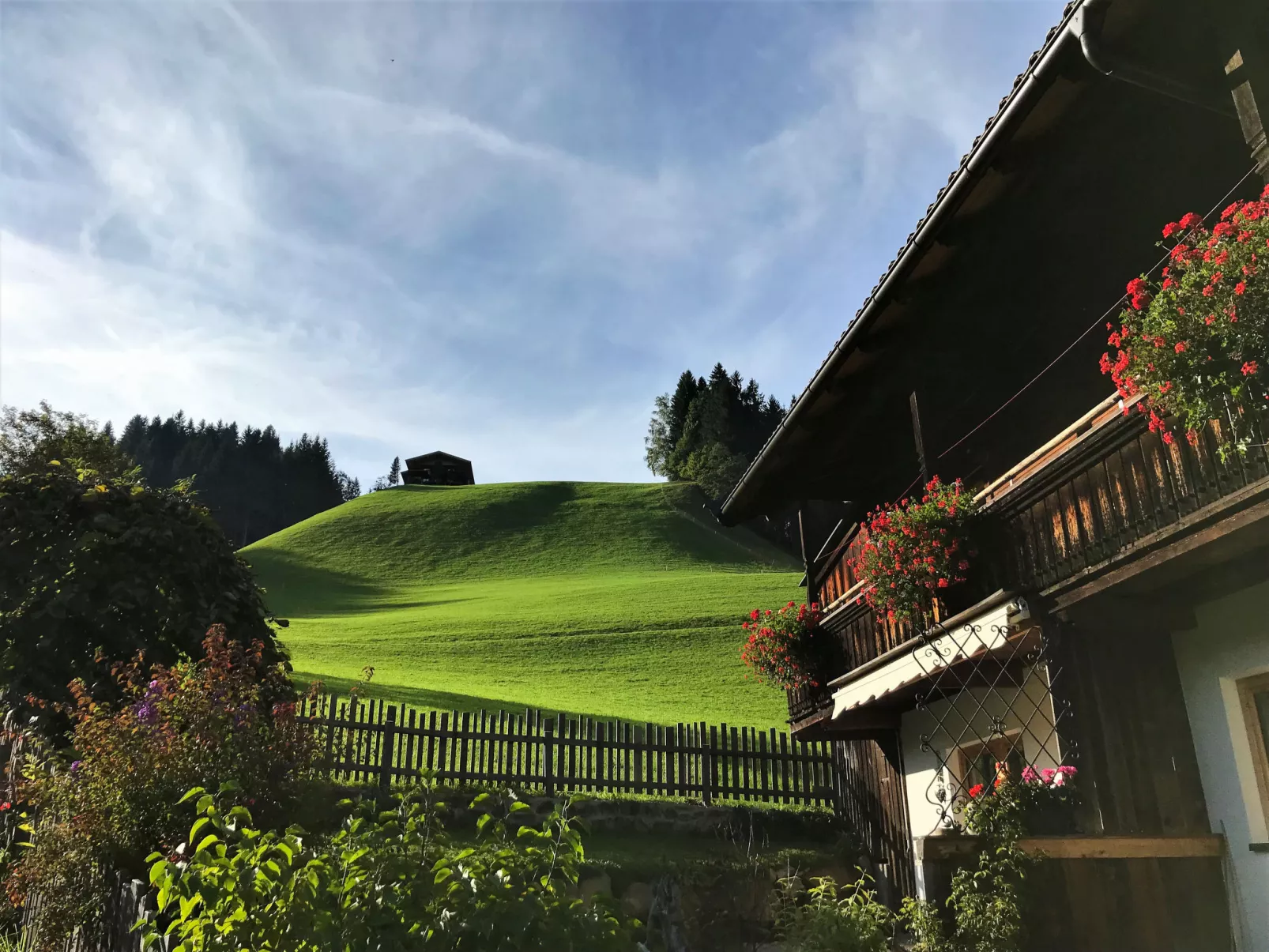 Chalet Edelweiß-Buiten