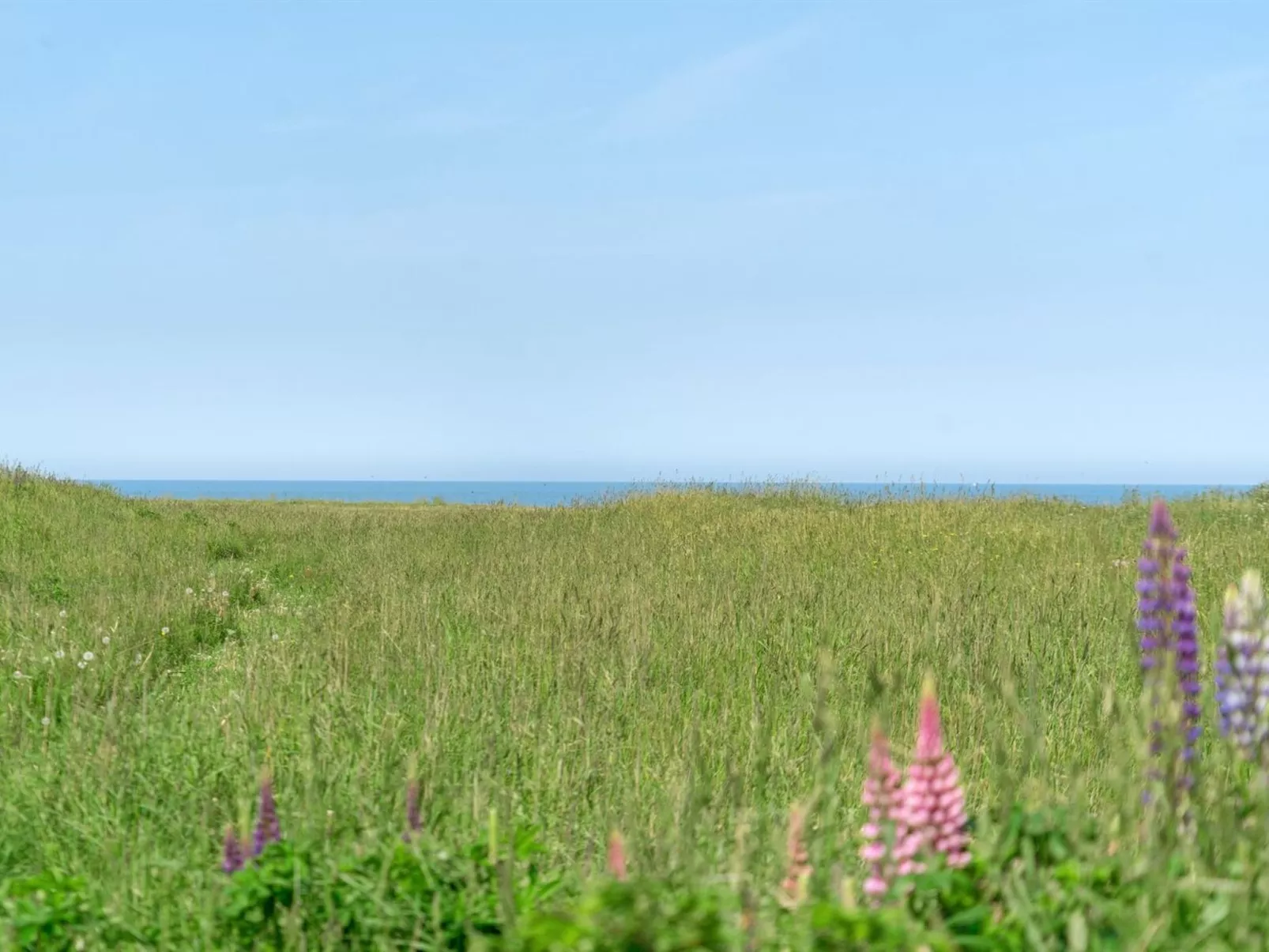 "Ananda" - 245m from the sea-Buiten