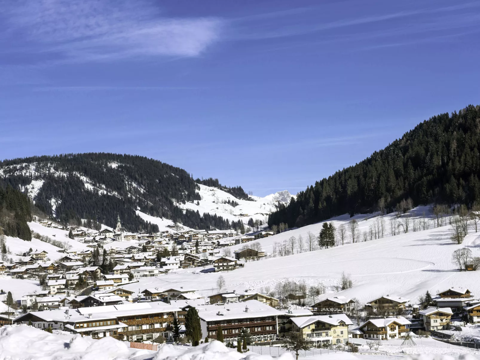 Panorama Chalet Tirol (WIL002)-Omgeving