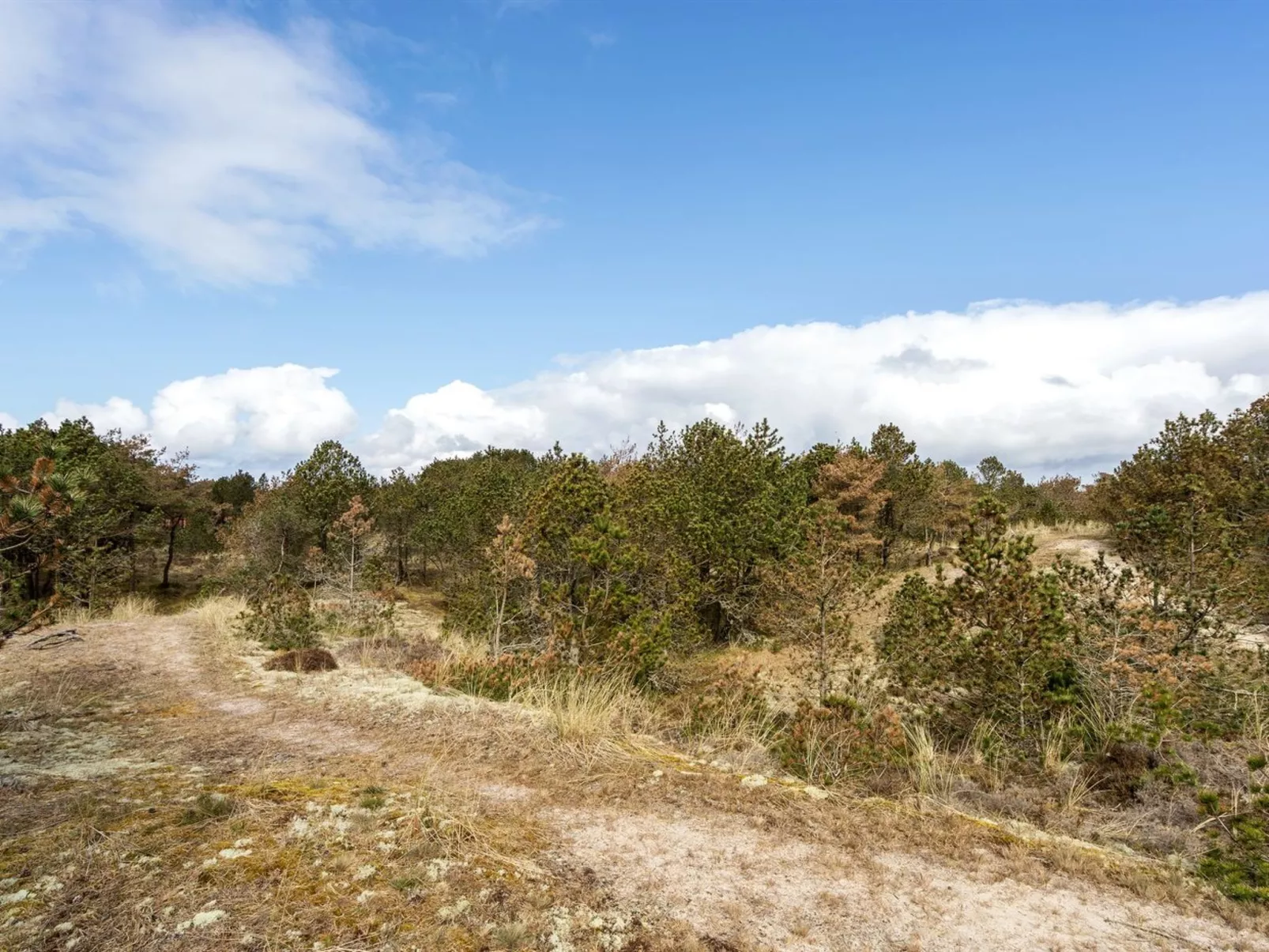 "Eldert" - 1.2km from the sea-Buiten