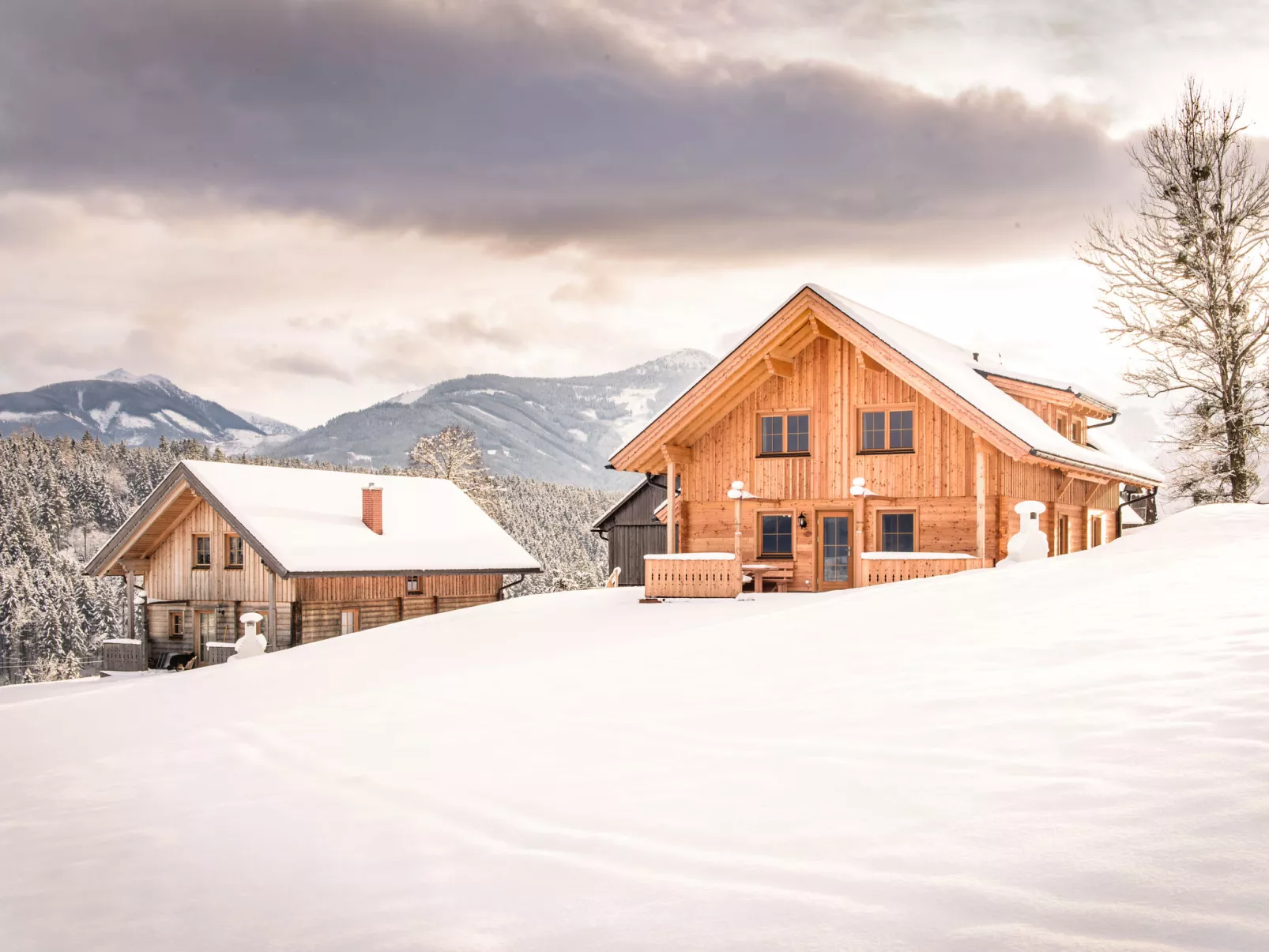 Grimmingblickhütte-Buiten