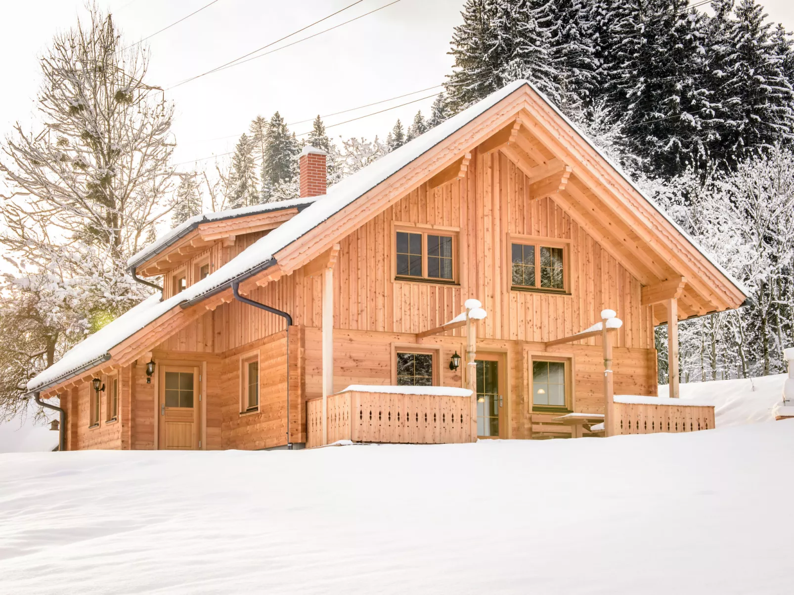 Grimmingblickhütte-Buiten
