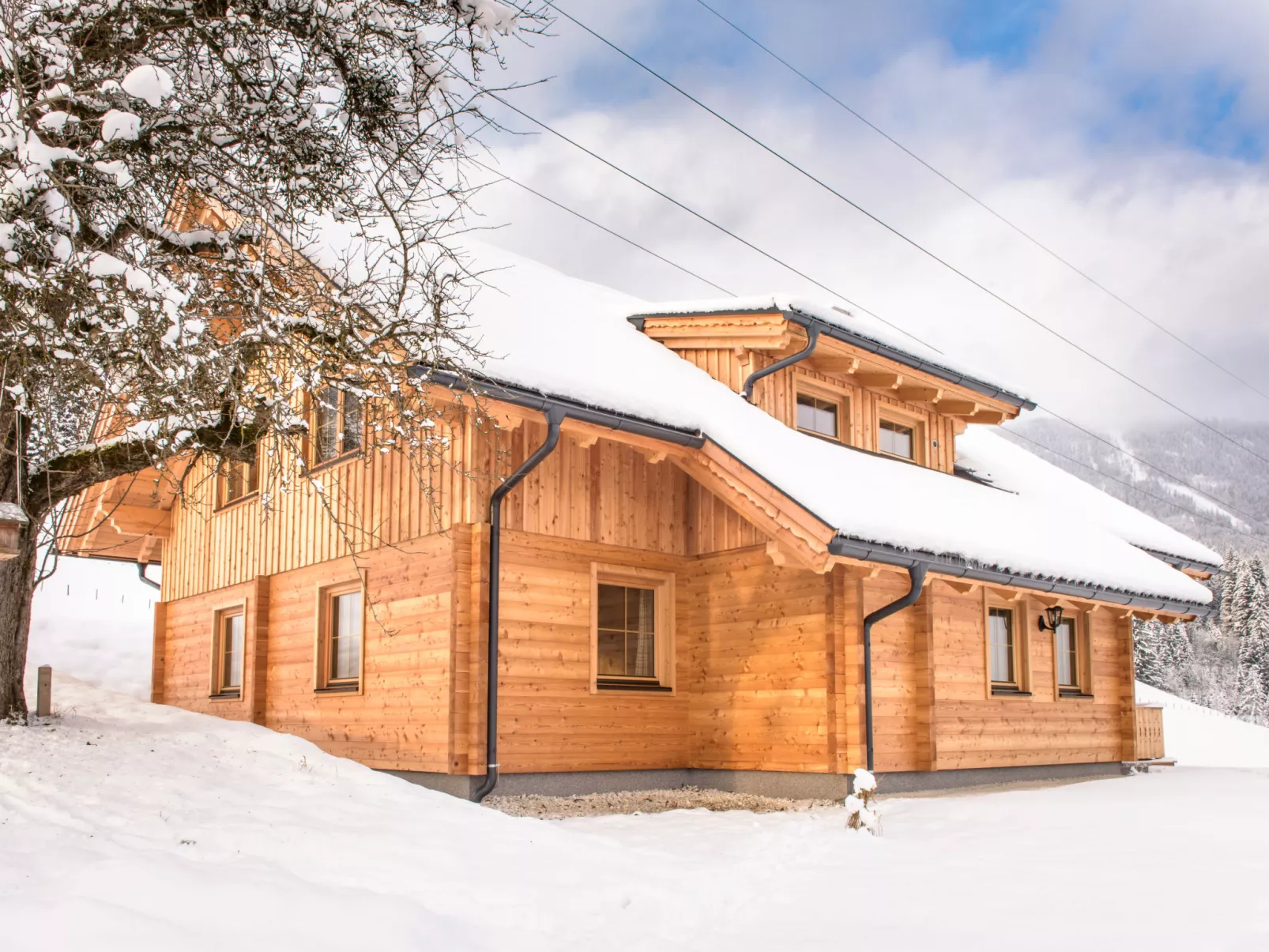 Grimmingblickhütte-Buiten
