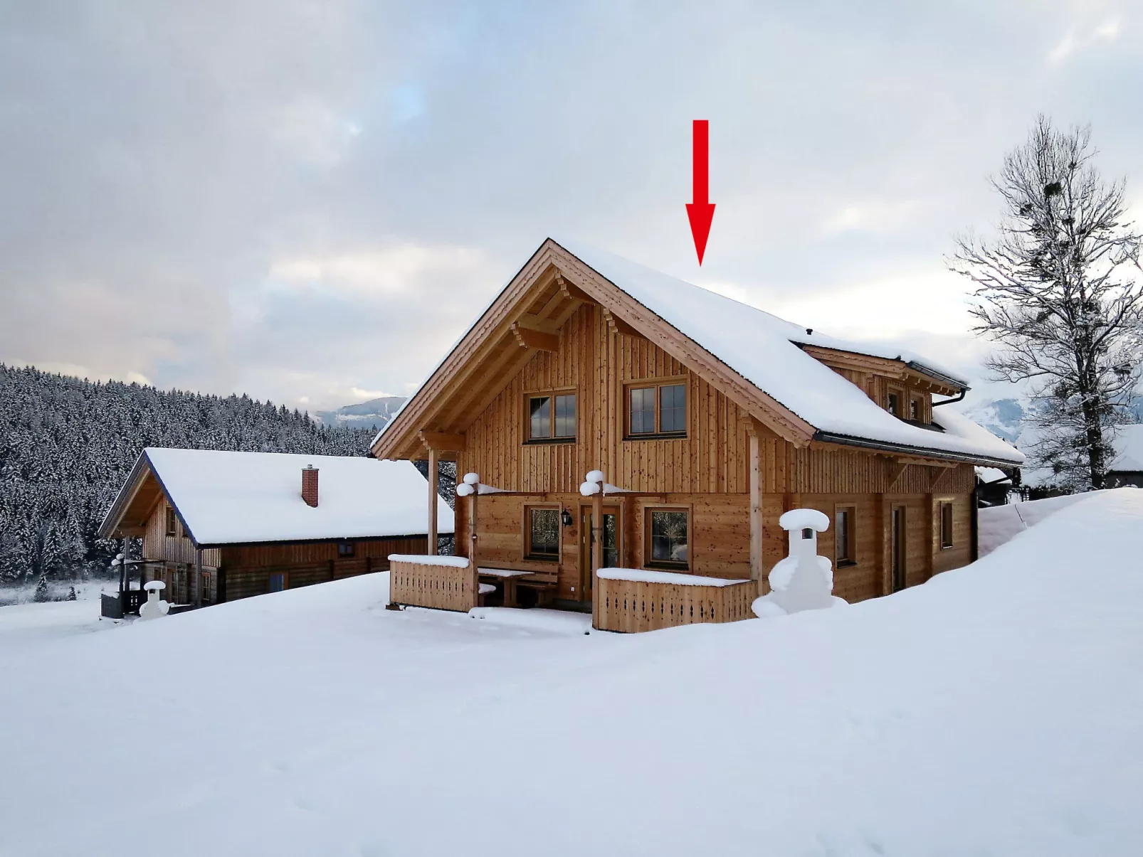 Grimmingblickhütte-Buiten