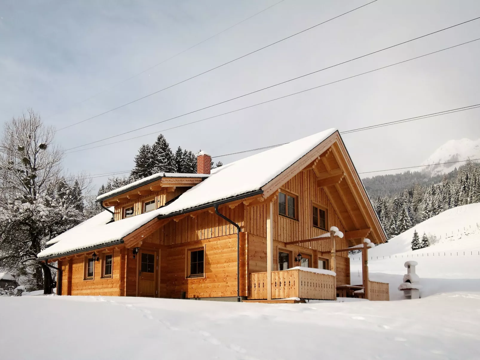 Grimmingblickhütte-Buiten