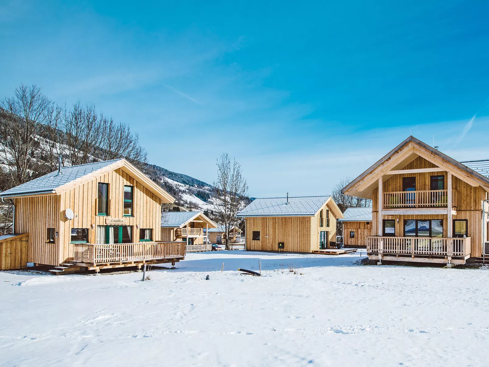 Chalet mit 2 Schlafzimmern & IR-Sauna-Buiten