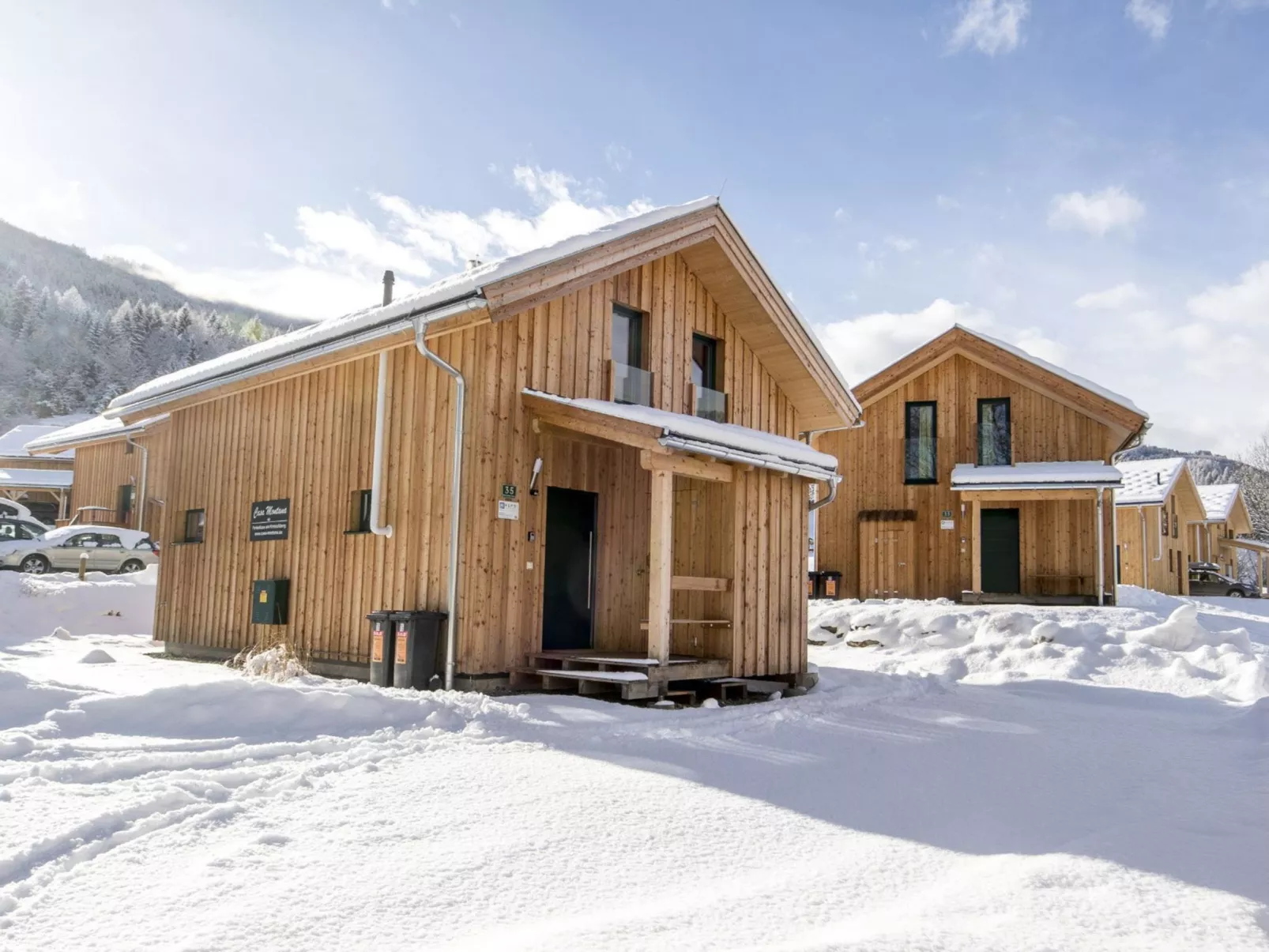 Chalet mit 4 Schlafzimmern-Buiten