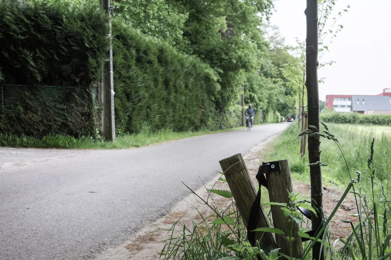 Boskant-Gebieden zomer 5km