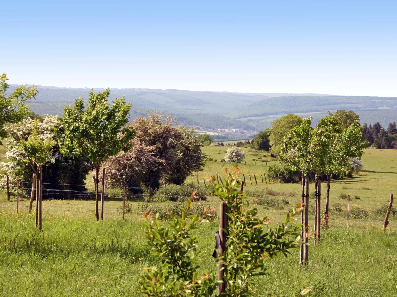 Gîte rural Mamijana-Buiten