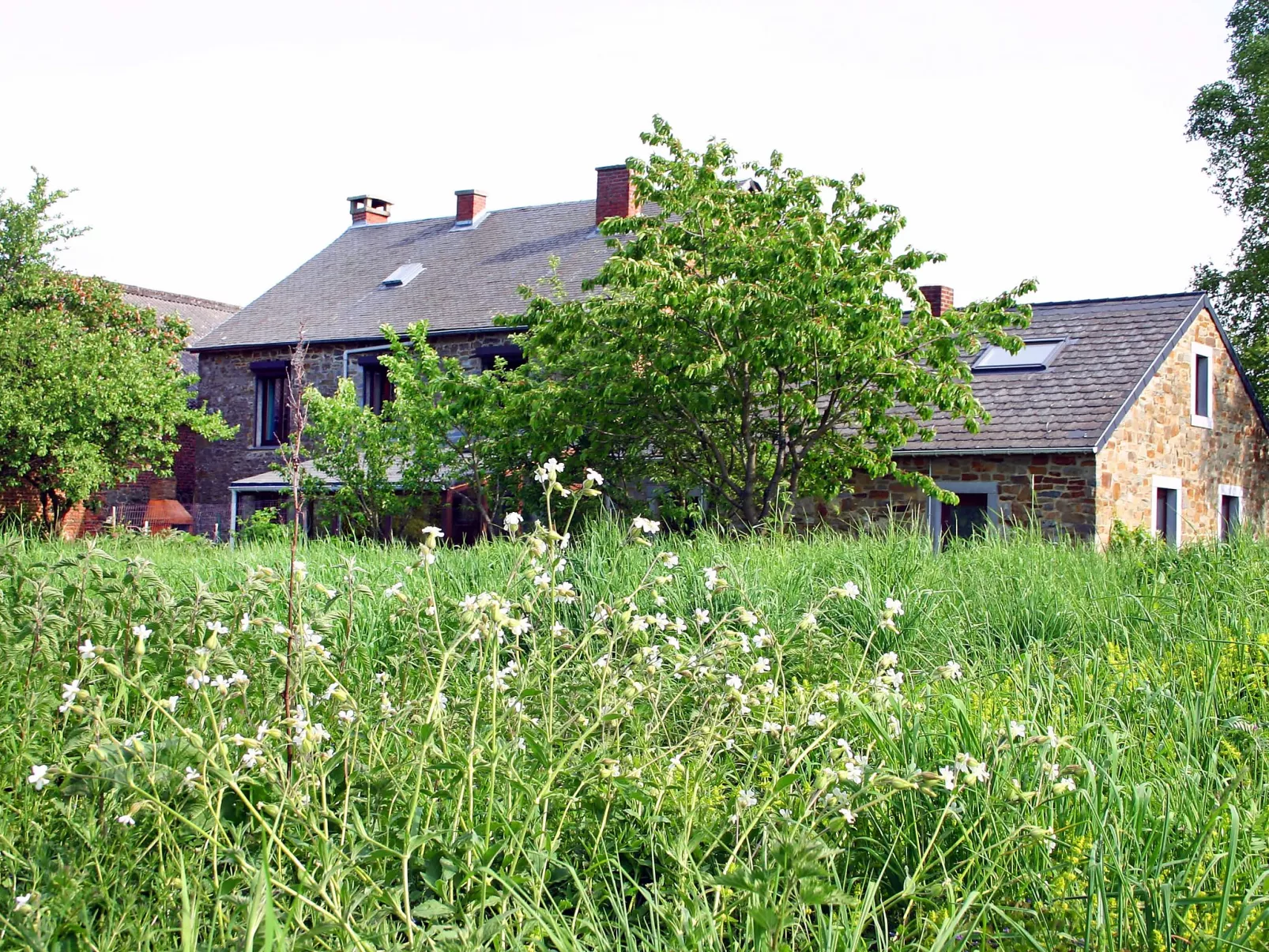 Gîte rural Mamijana-Buiten