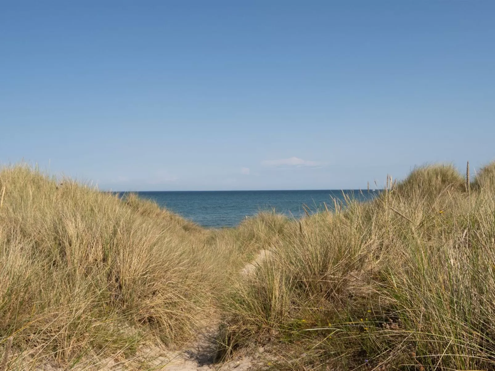 "Sheyla" - 150m from the sea-Buiten