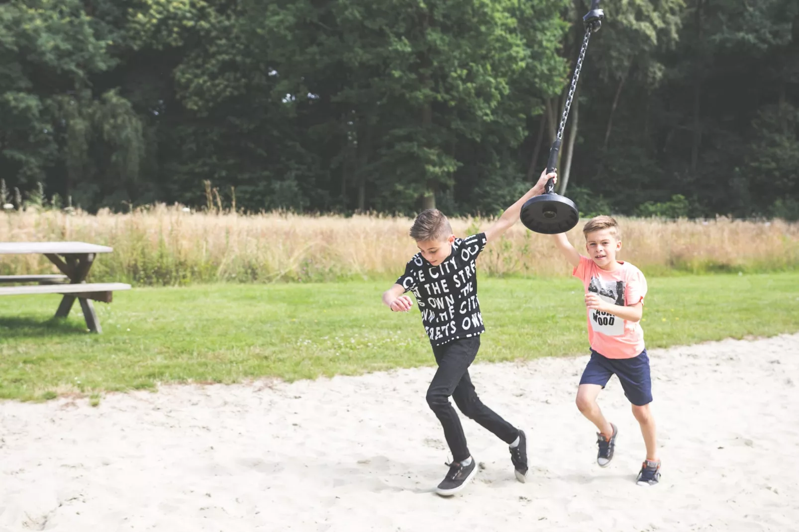 Domein Limburg 3-Gebieden zomer 1km