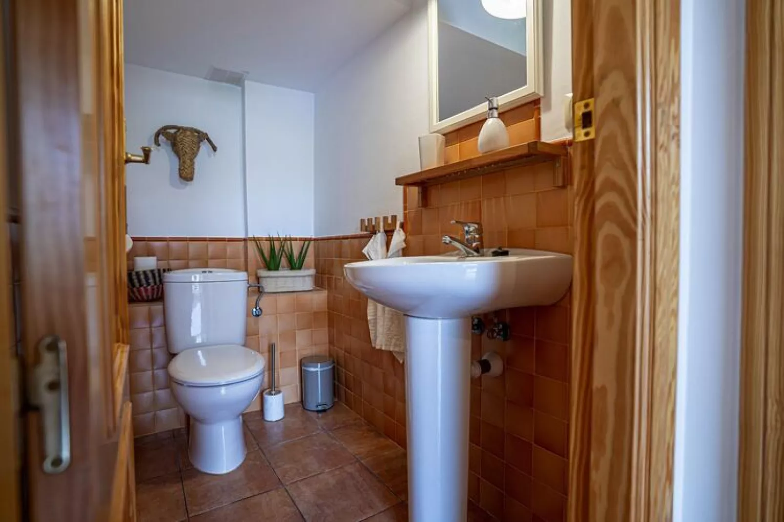 FH in las Jaras - CT 119 CO 4PAX-Badkamer