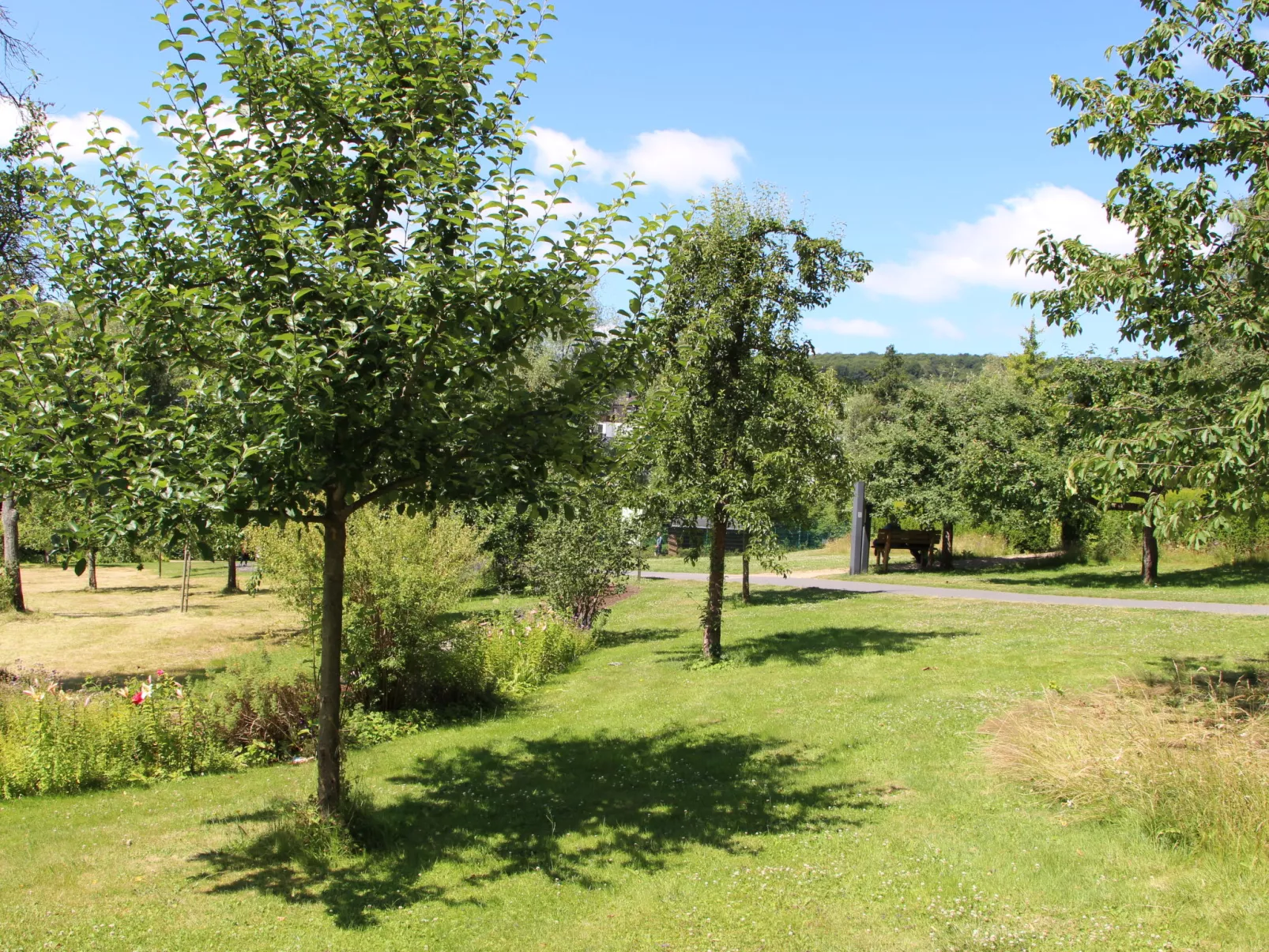 Tiny Haus Westerwald 16 Red-Omgeving