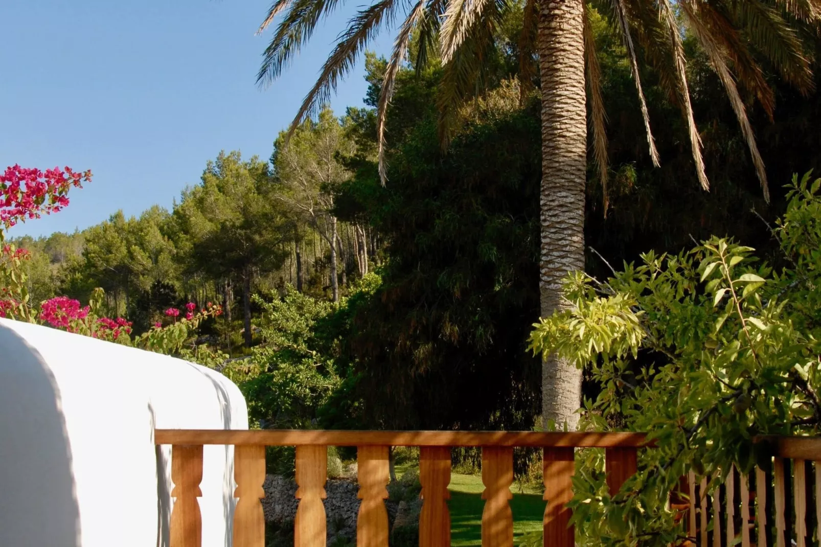 Finca Planetas-Niet-getagd