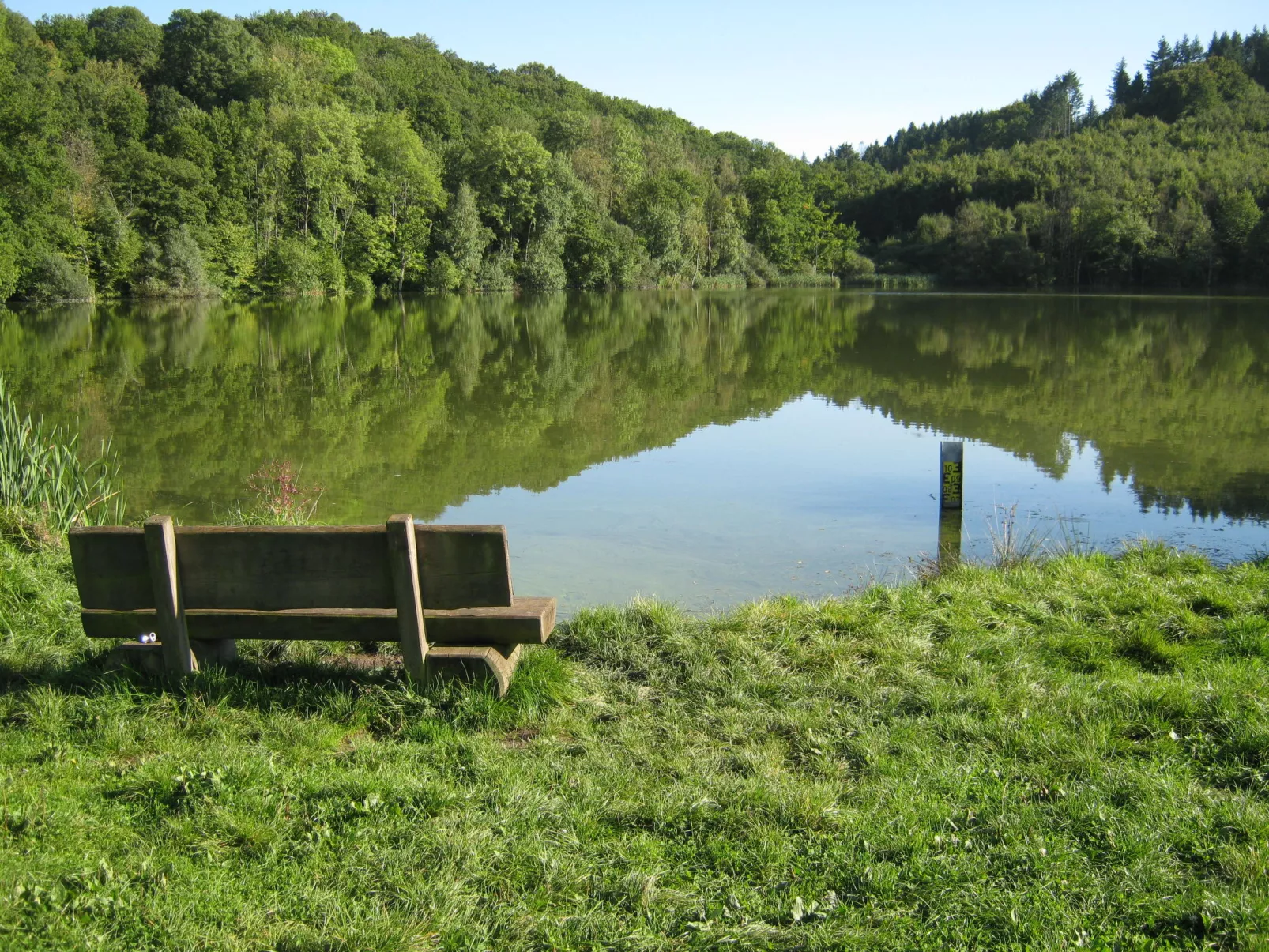 Eifelnatur (Haus 3)-Omgeving