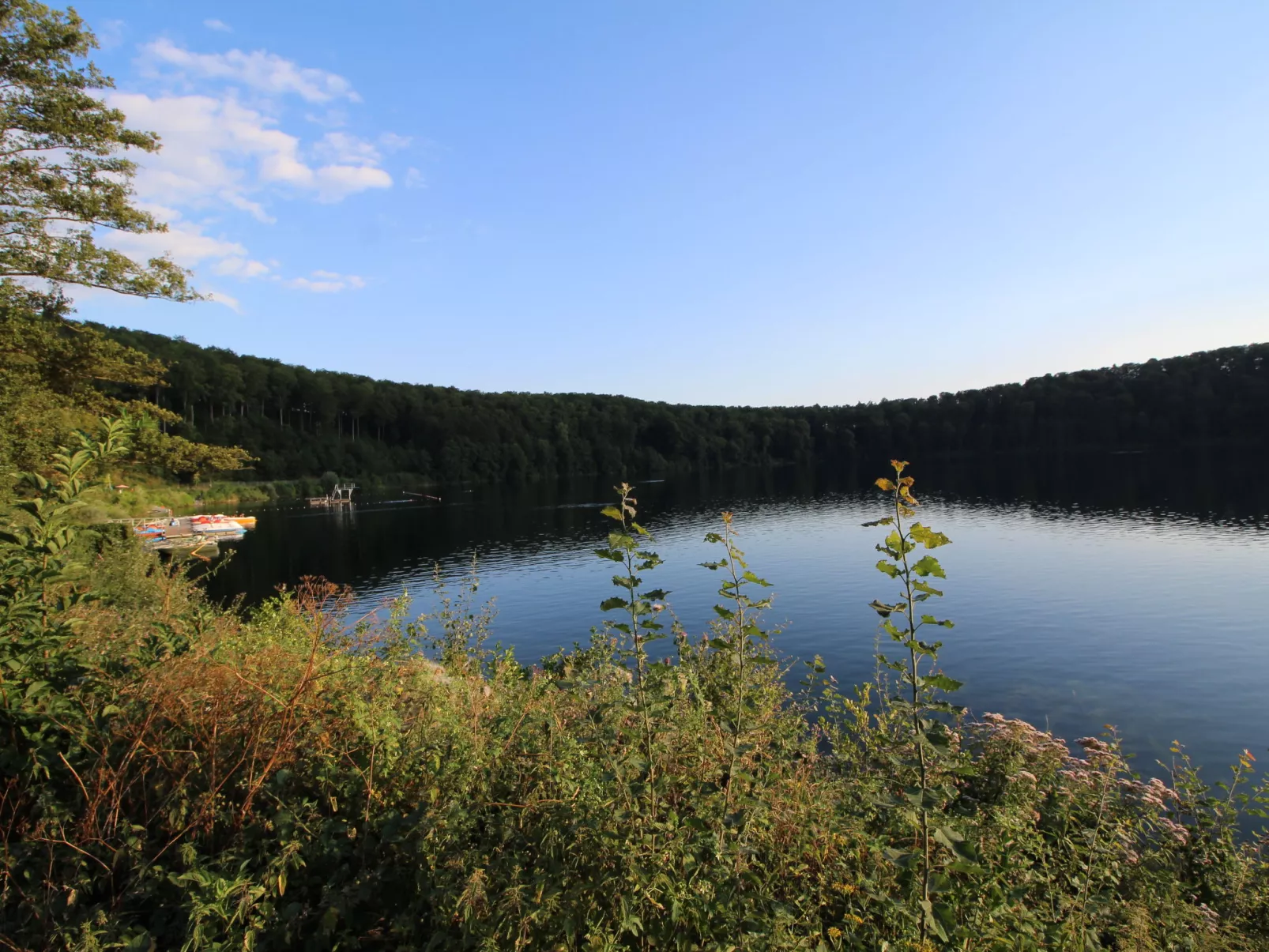 Eifelnatur (Haus 3)-Omgeving