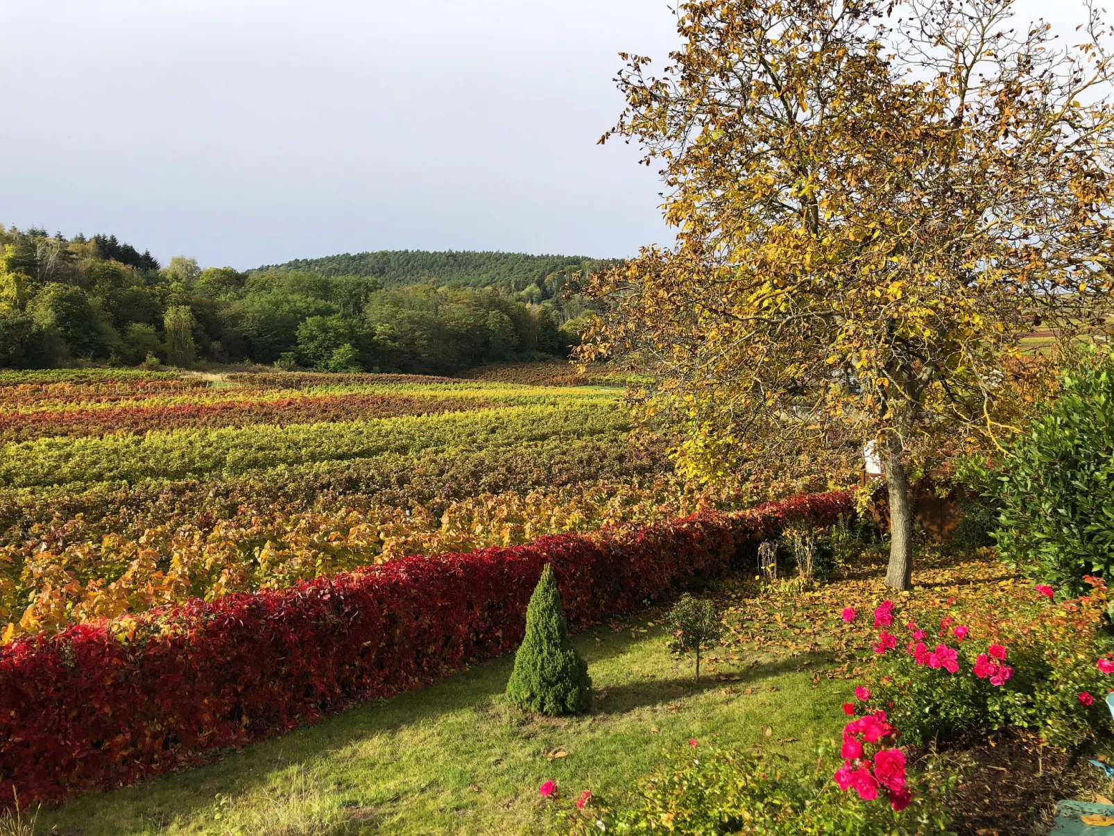 Am Weinberg-Buiten