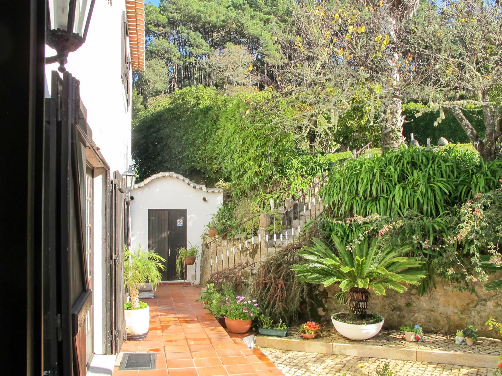 Oliveiras House-Buiten