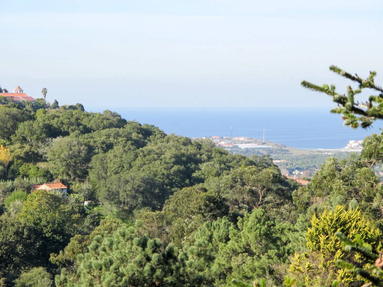 Oliveiras House-Buiten