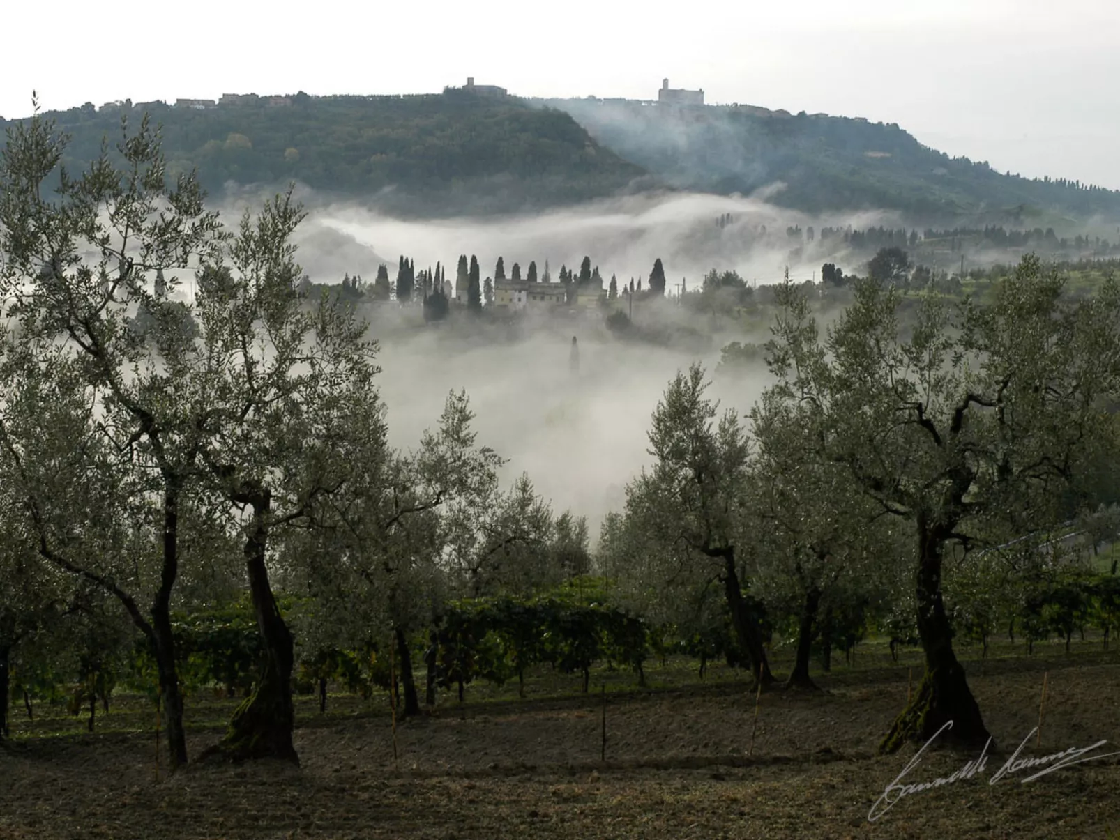 La Voce del Silenzio-Omgeving