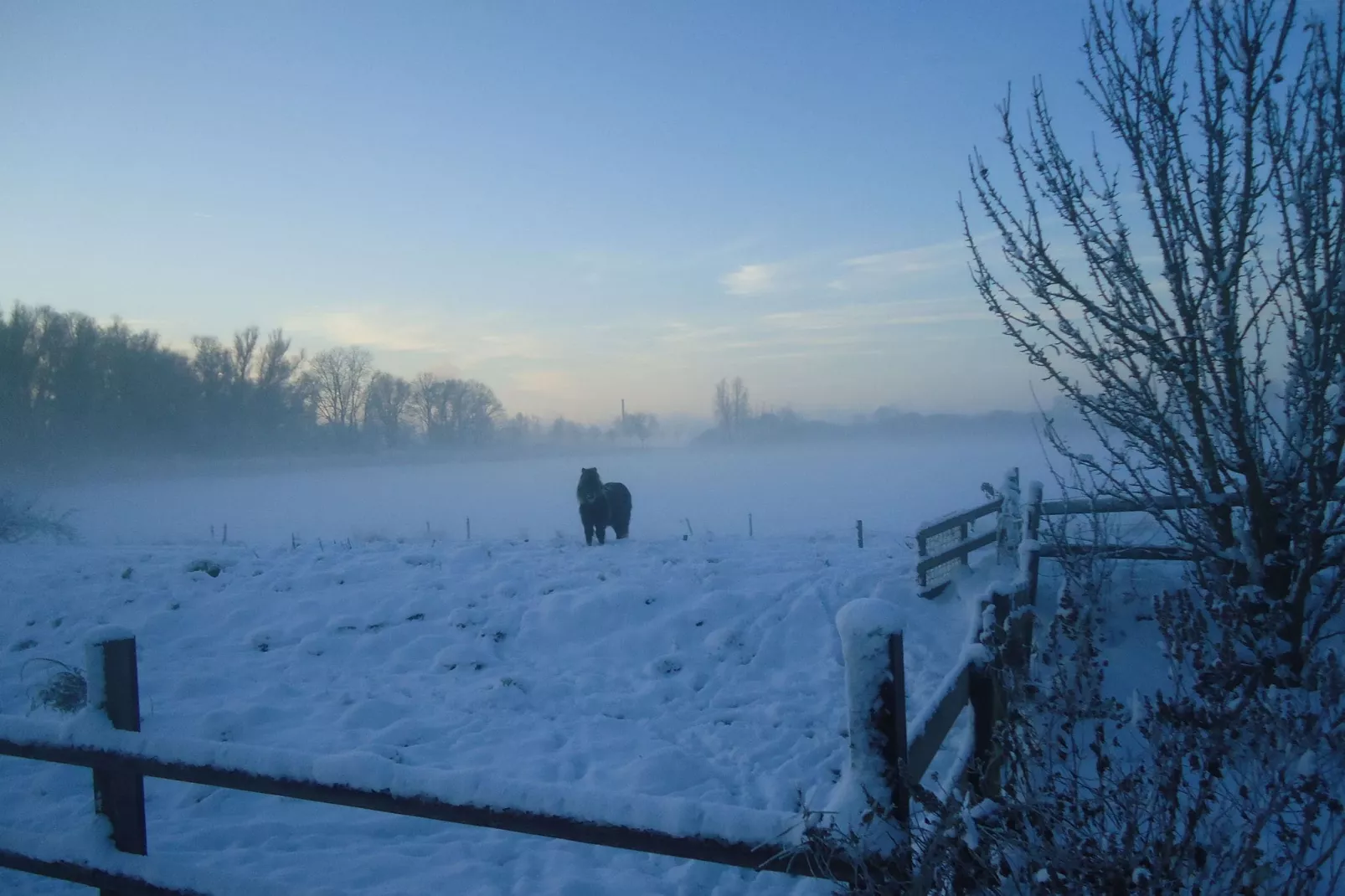 Het Rijk van Elten en Spijk-Exterieur winter