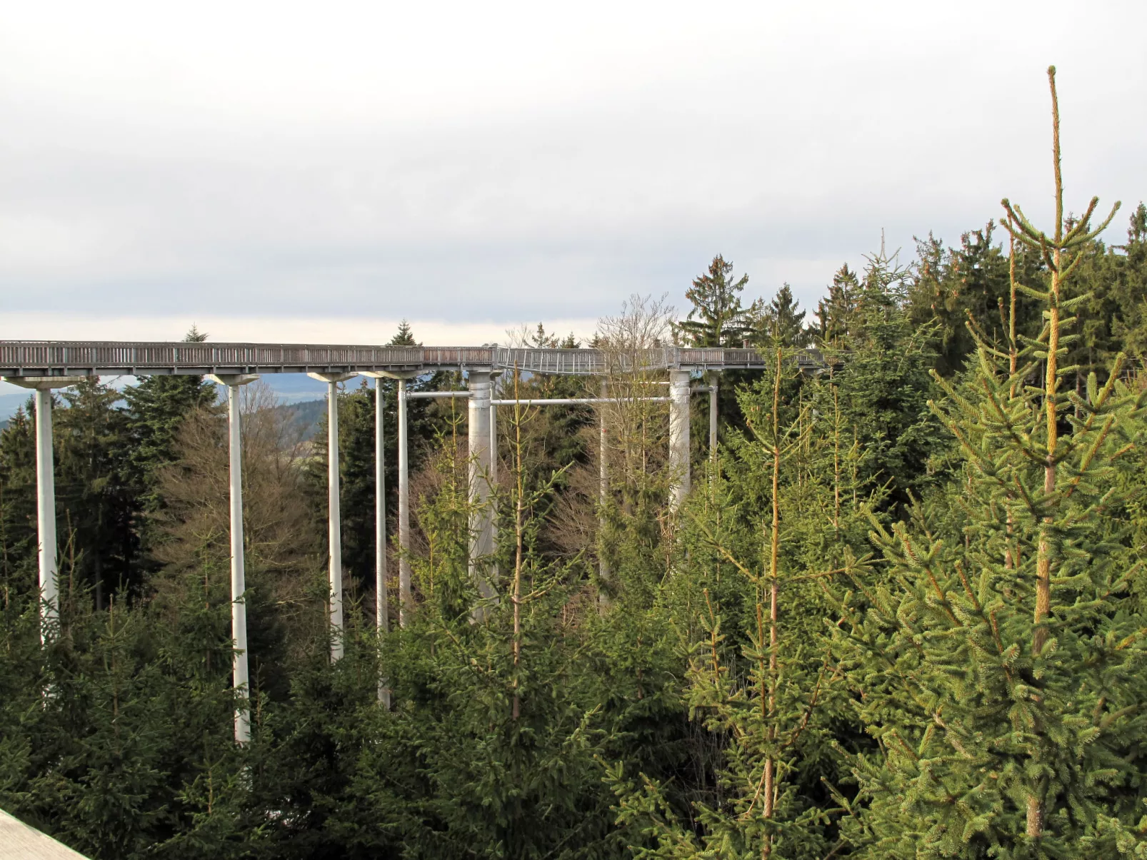 Bayerischer Wald-Omgeving