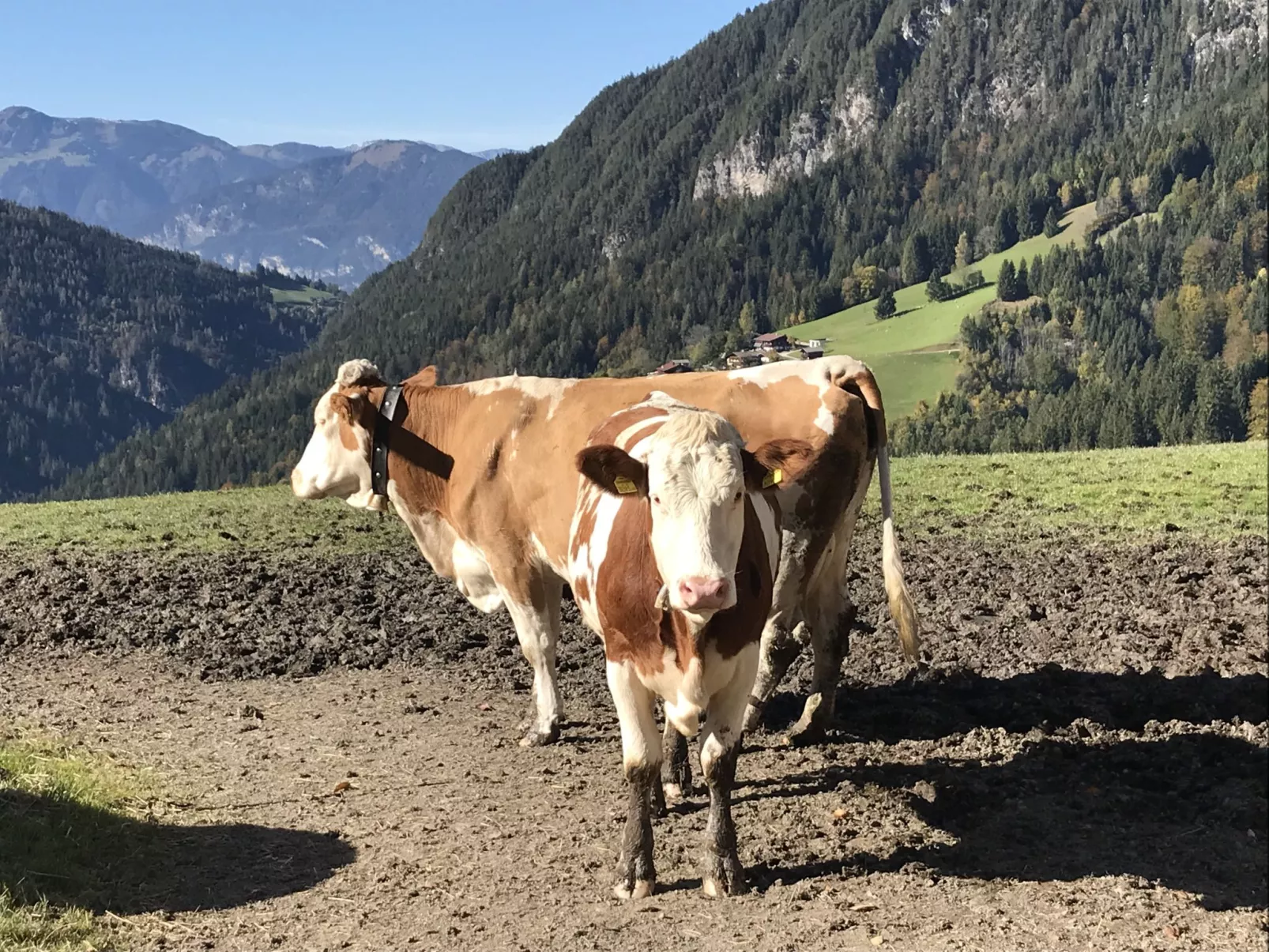 Feldkasten-Binnen