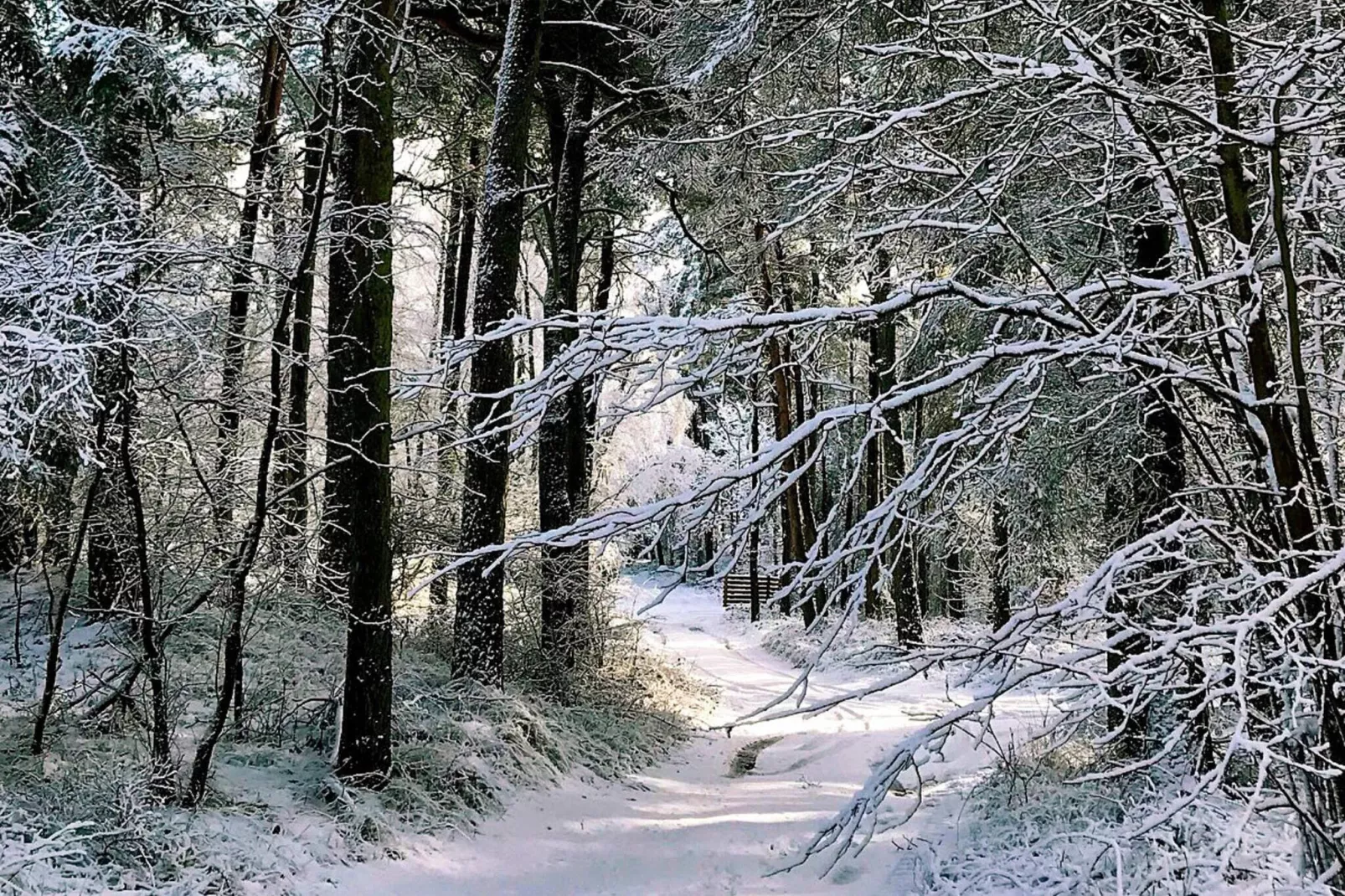 4 persoons vakantie huis in Aakirkeby-Buitenlucht
