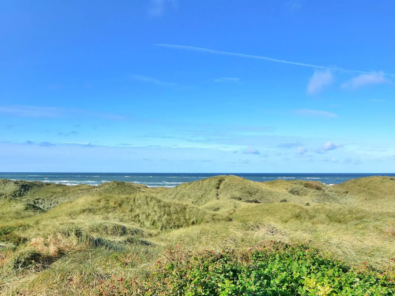 "Friede" - 100m from the sea-Buiten