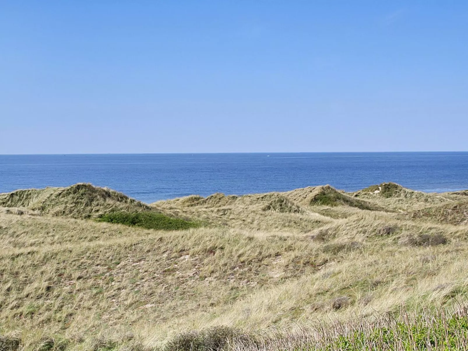 "Mafalda" - 260m from the sea-Buiten