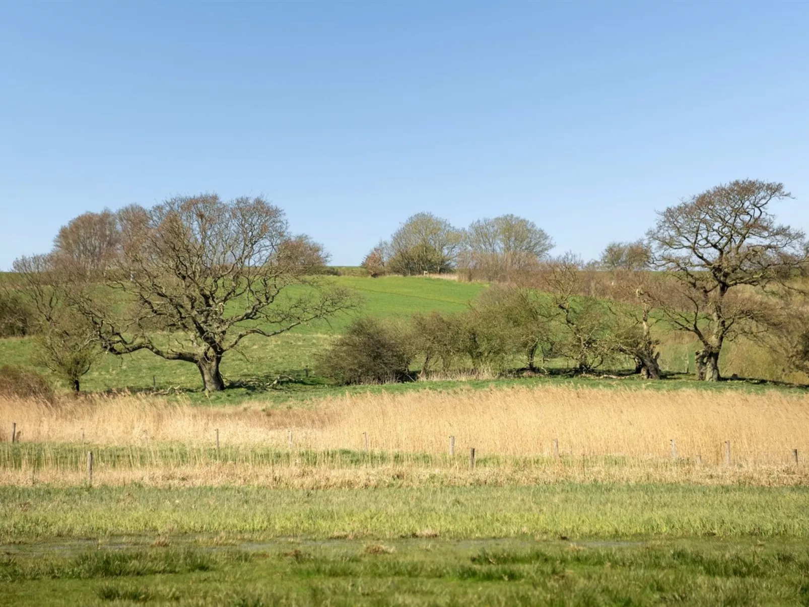 "Skak" - 100m from the sea-Buiten